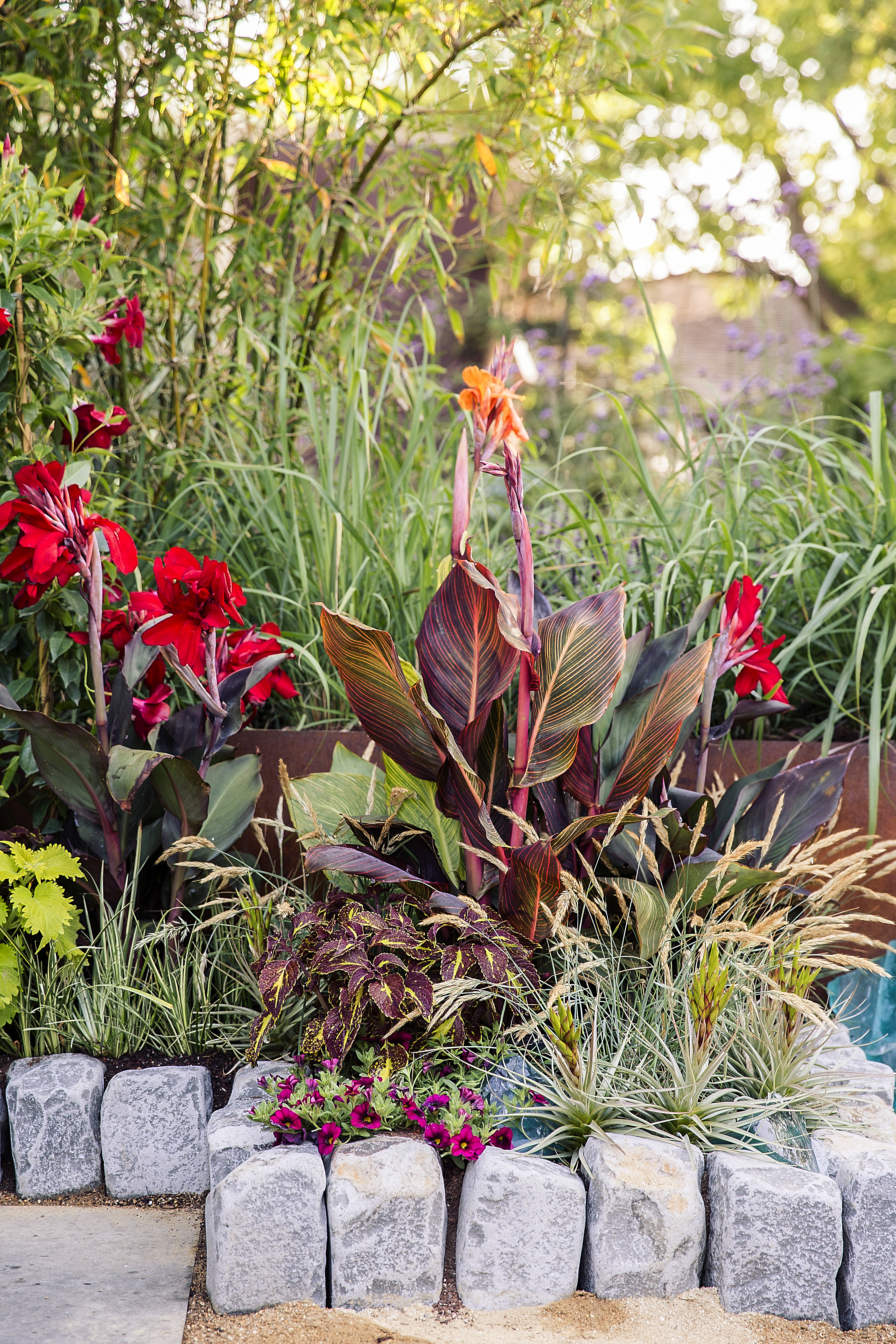 8 Ideas for a Tropical-Themed Garden - Sunset Magazine