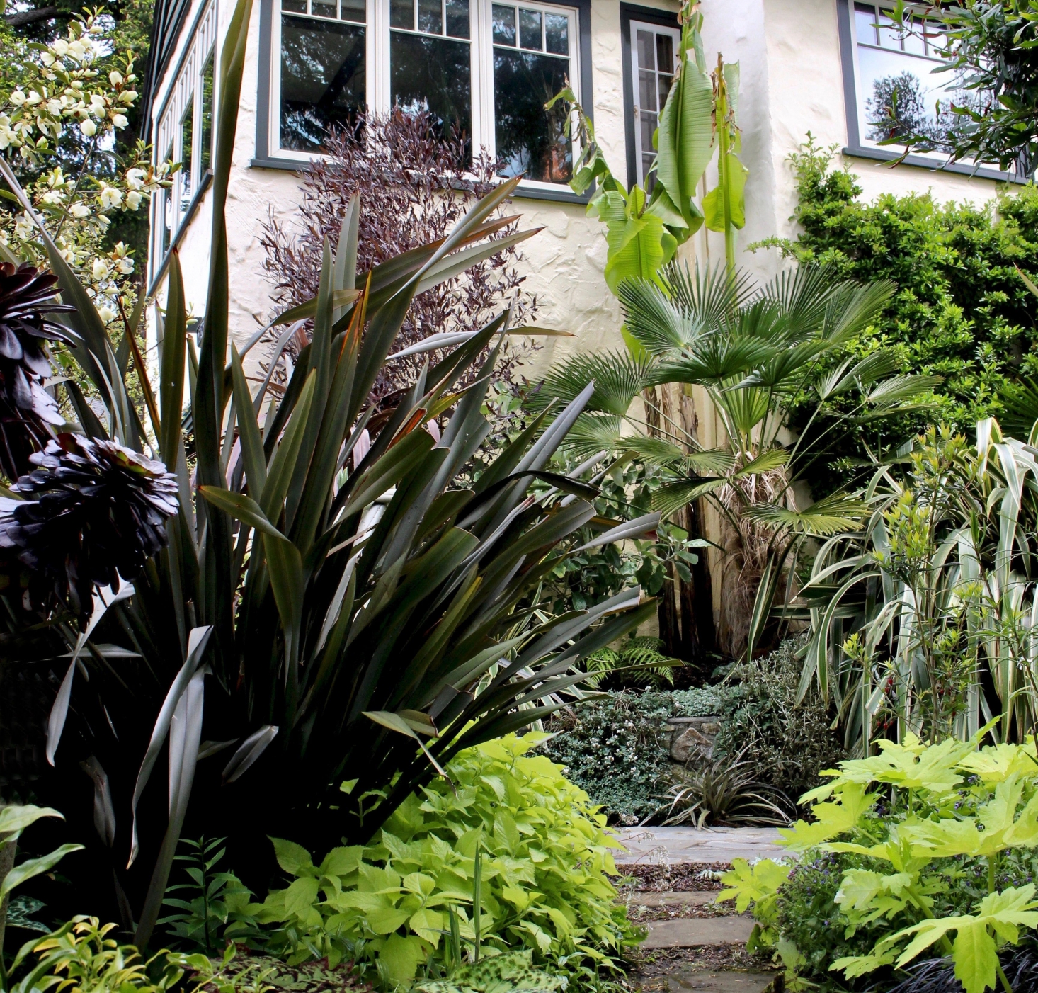 The New Canadian Garden: Tropical Plants in British Columbia ...