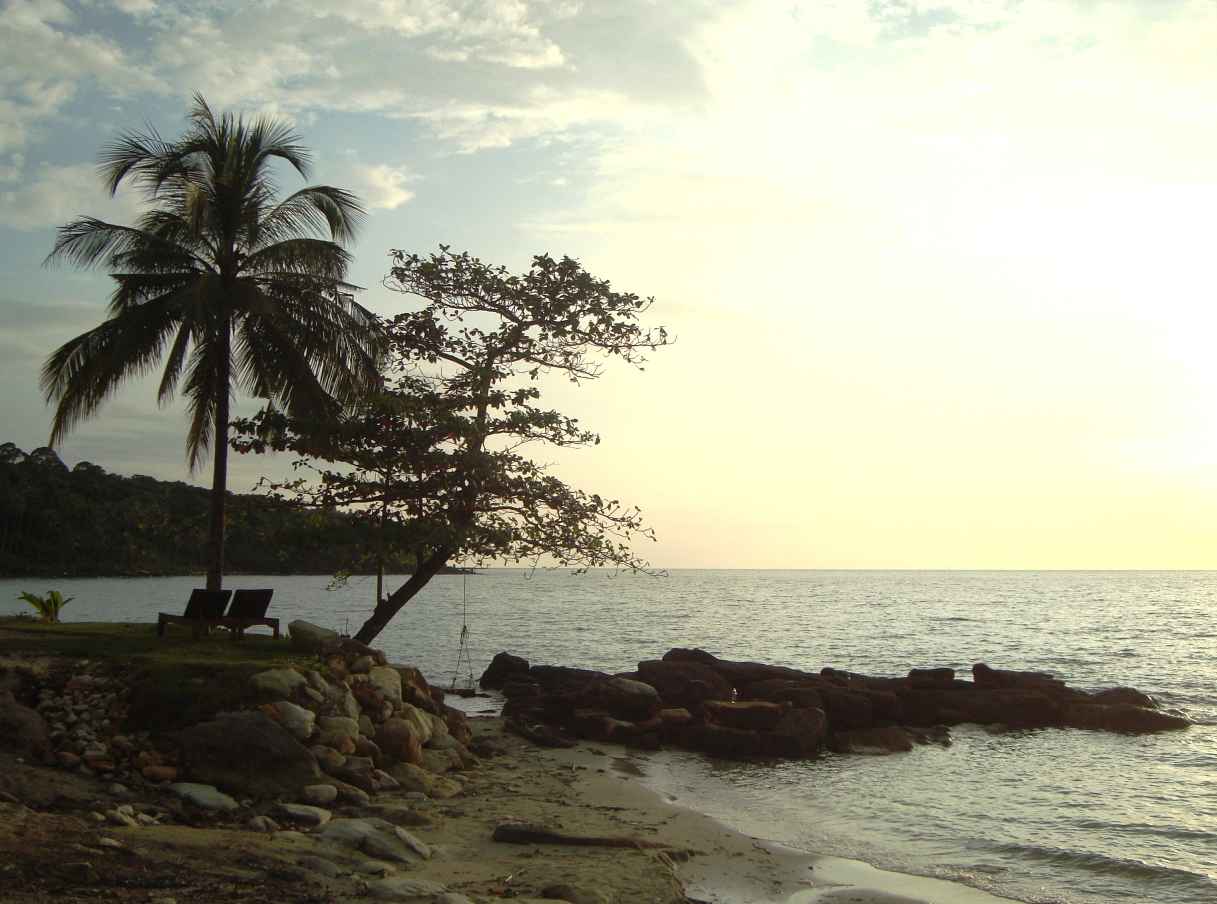 Tropical island palms at sunset photo