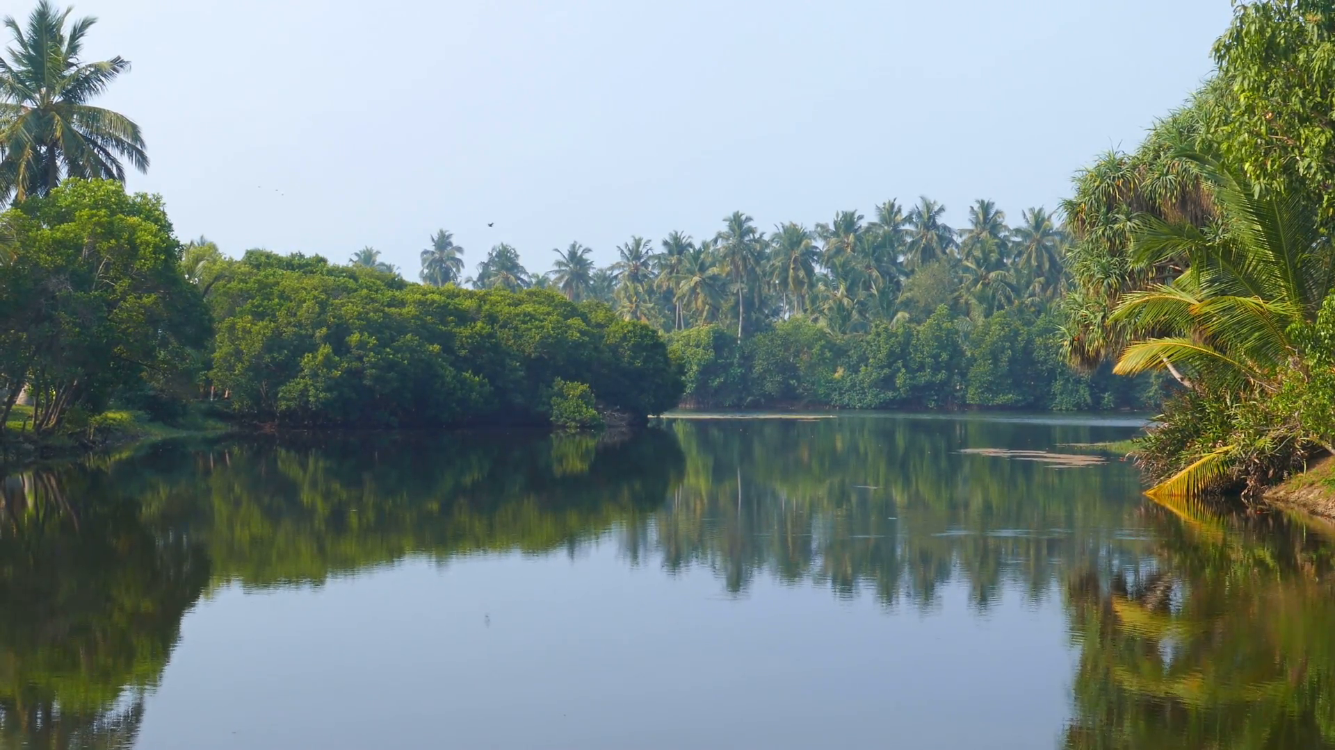 tropical lake in Sri Lanka Stock Video Footage - Videoblocks