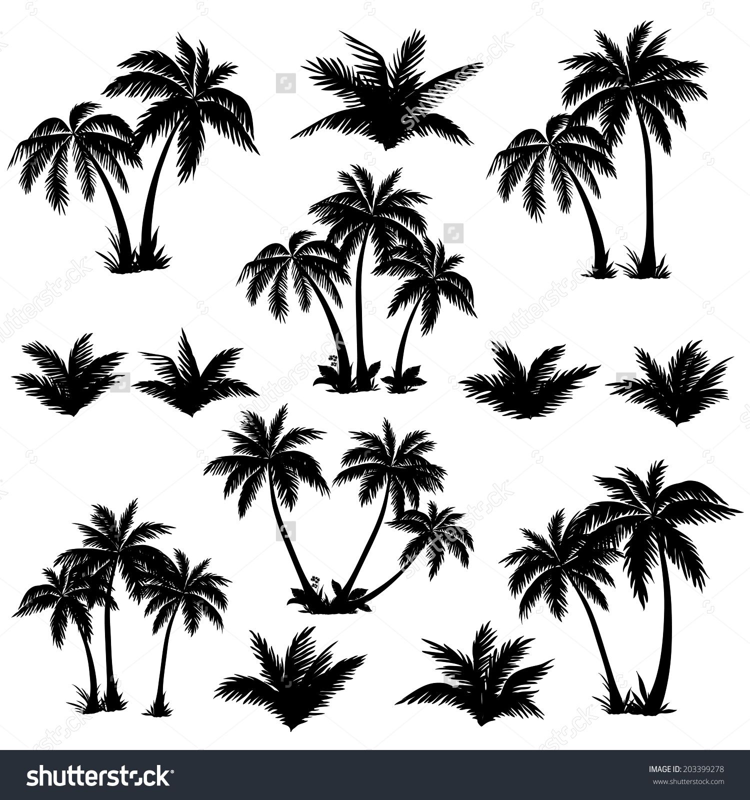 Set tropical palm trees with leaves, mature and young plants, black ...
