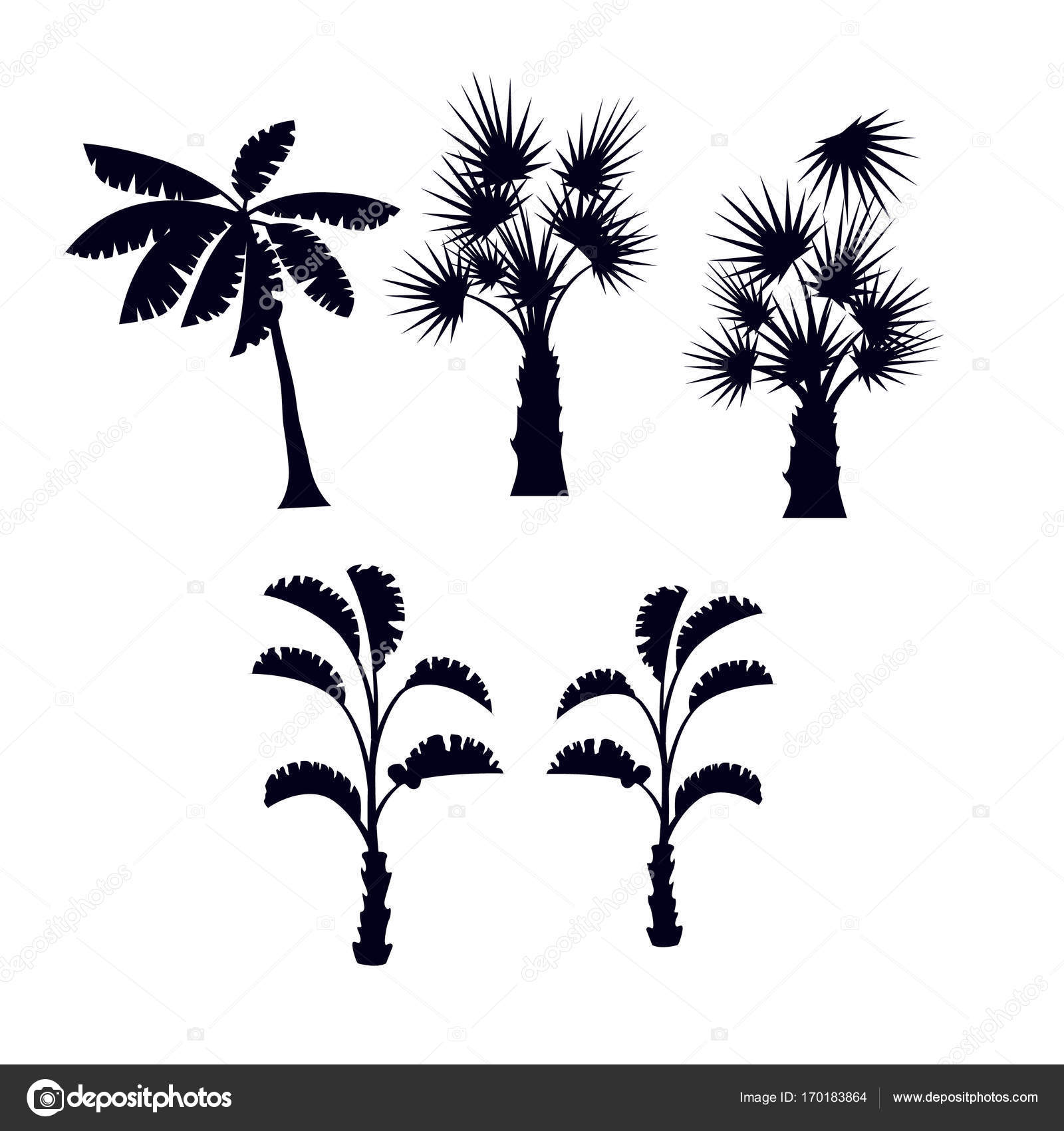 Tropical palm trees silhouette set — Stock Vector © studioworkstock ...