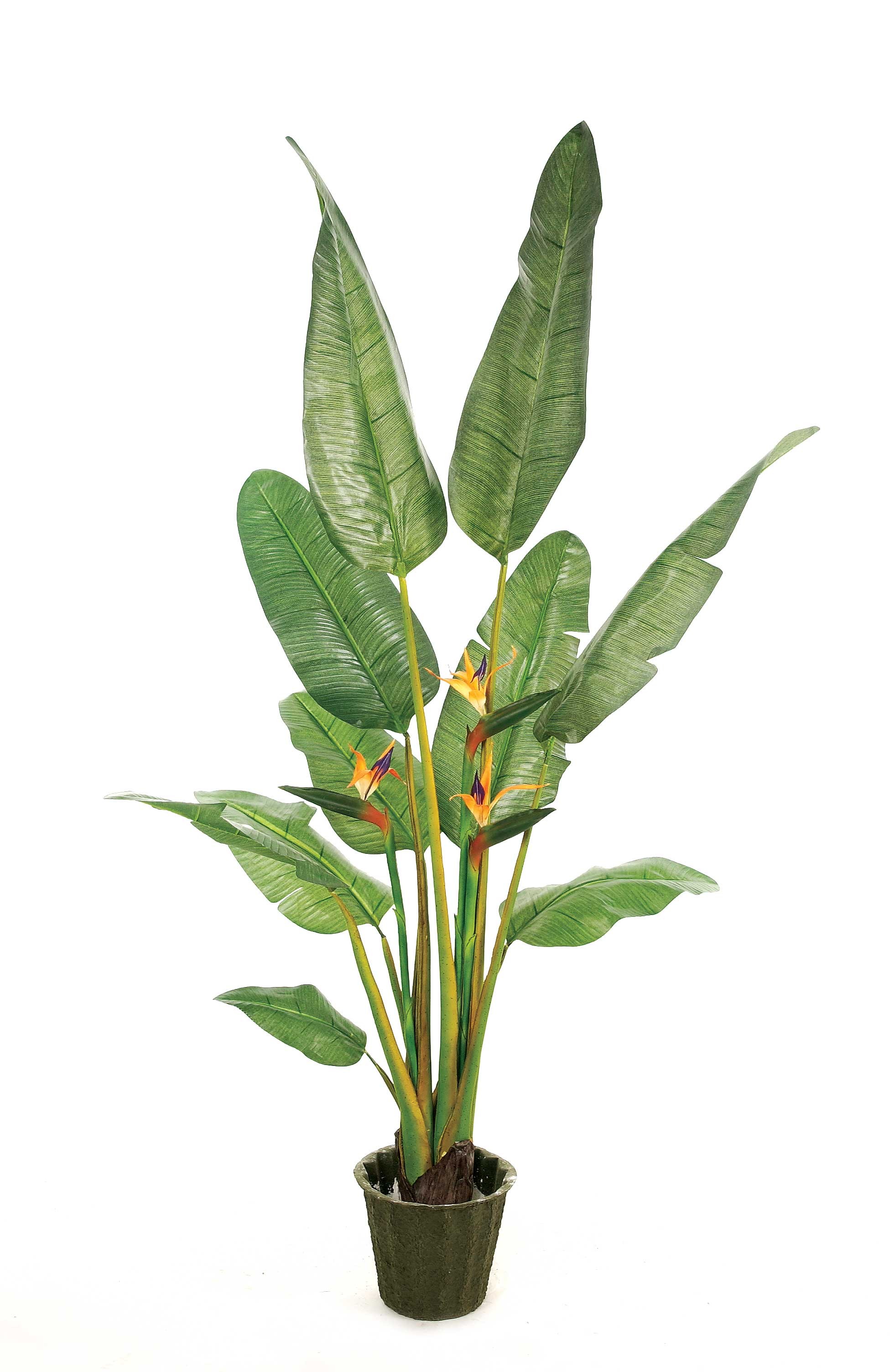 Artificial Tropical Plants - Plantworks