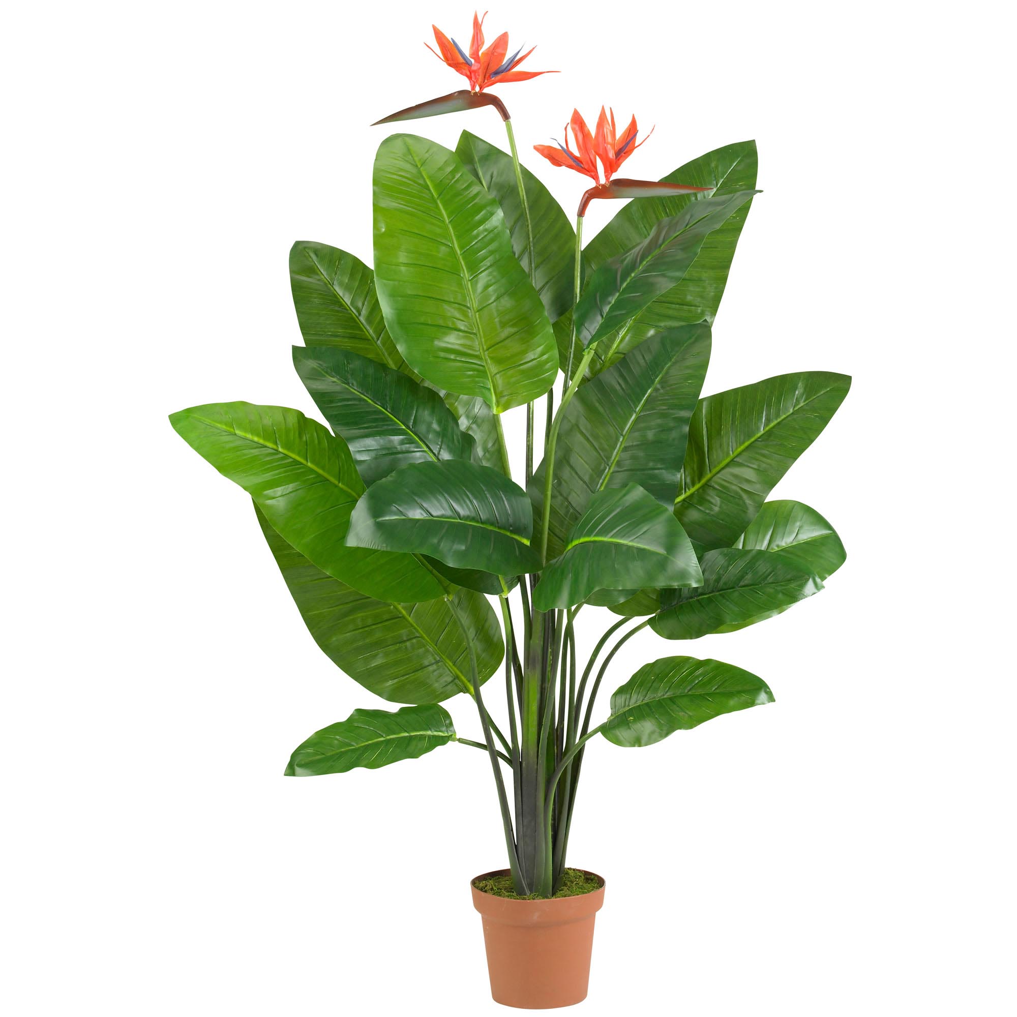 58 inch Artificial Bird of Paradise Plant: Potted | 6576