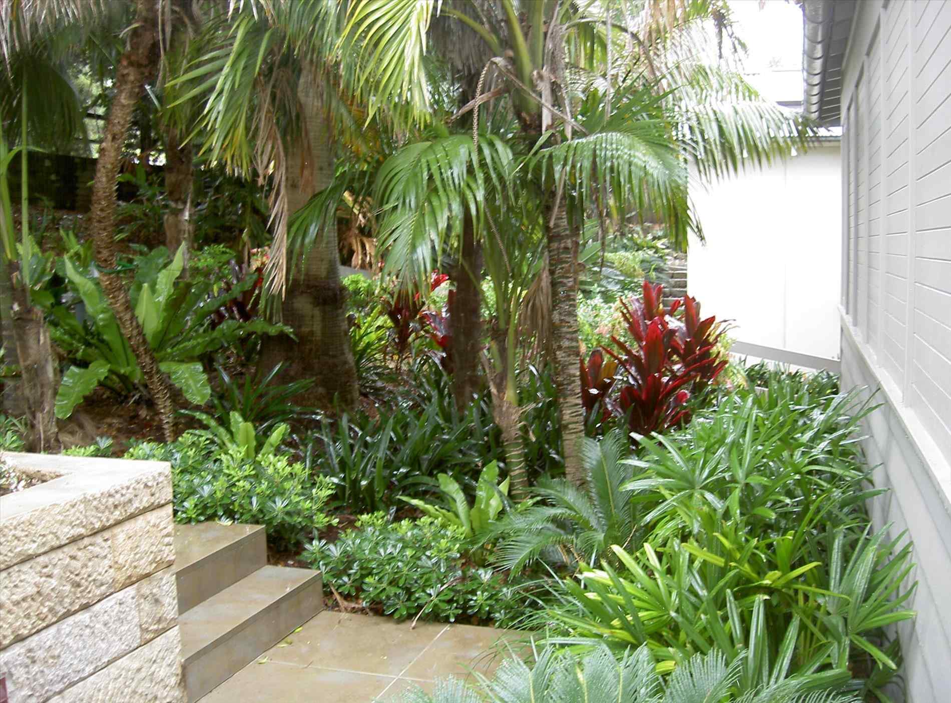 The Images Collection of Yard landscape design tropical contemporary ...