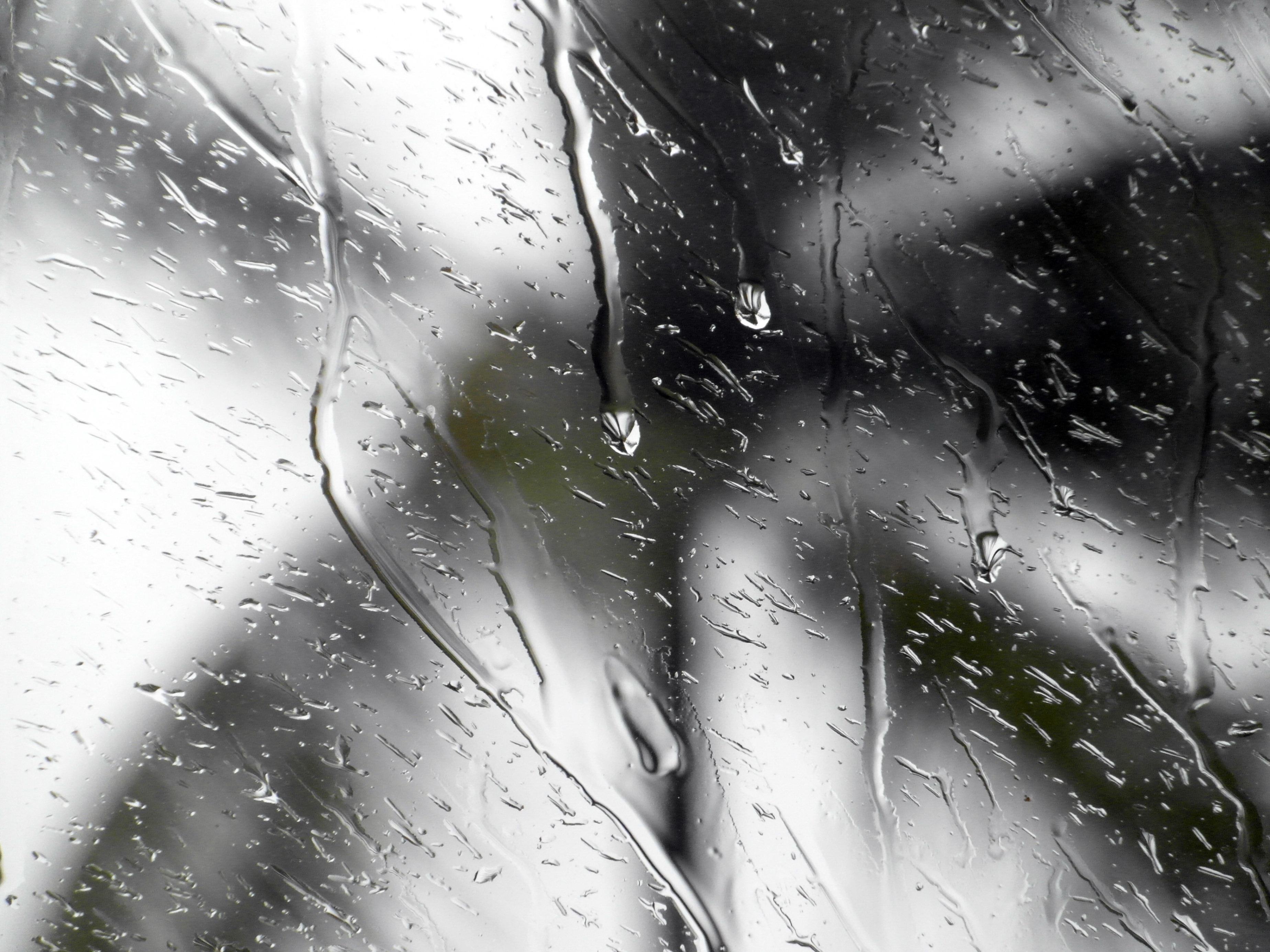 Tropical storm window raindrops photo