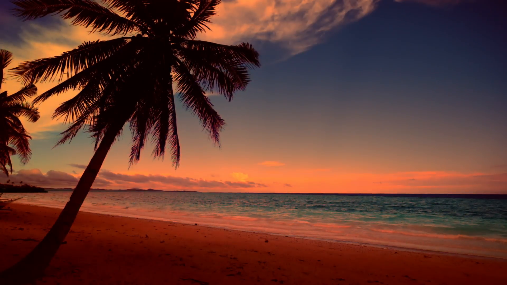 Colors of tropical sunset. Palm trees silhouettes at sandy beach ...