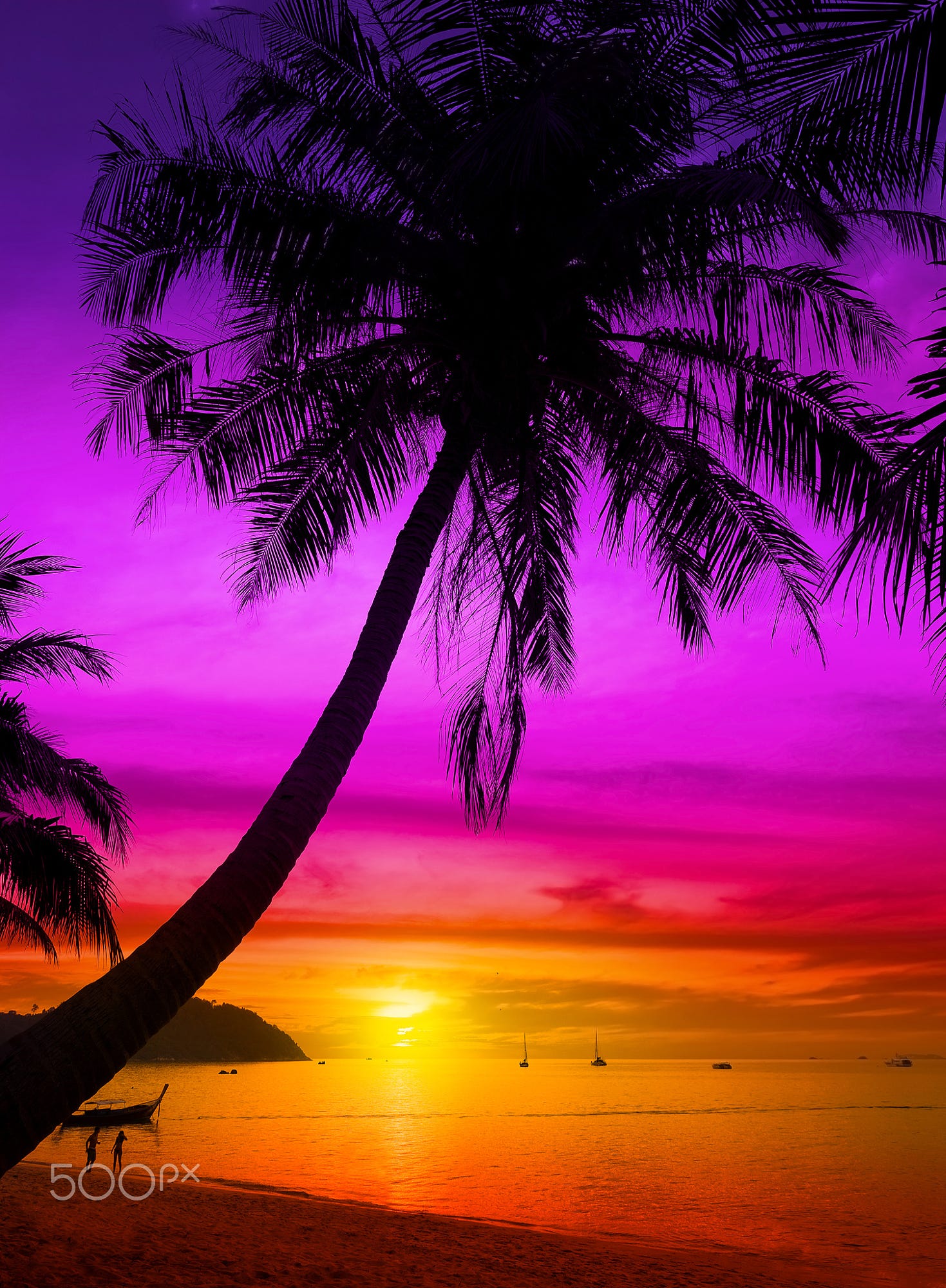 Palm tree silhouette on tropical beach at sunset. | beaches ...