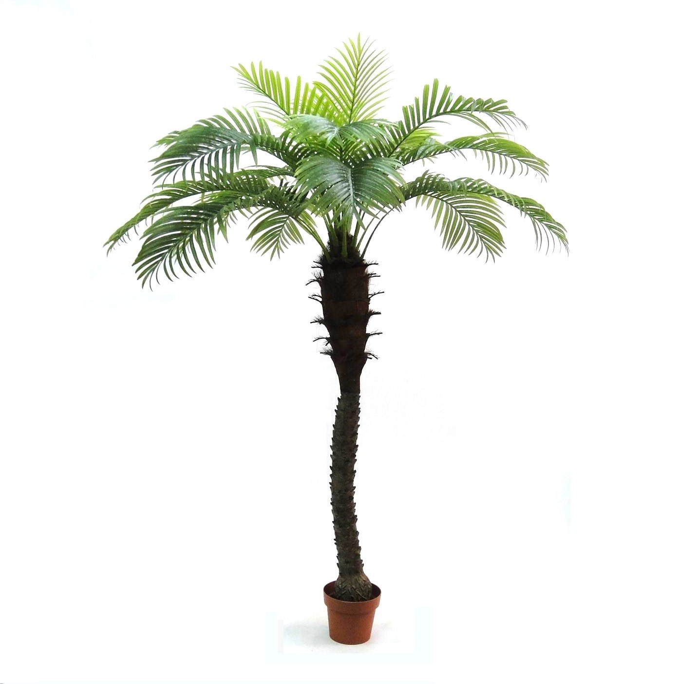 Artificial Outdoor Palm Tree at Evergreen Direct