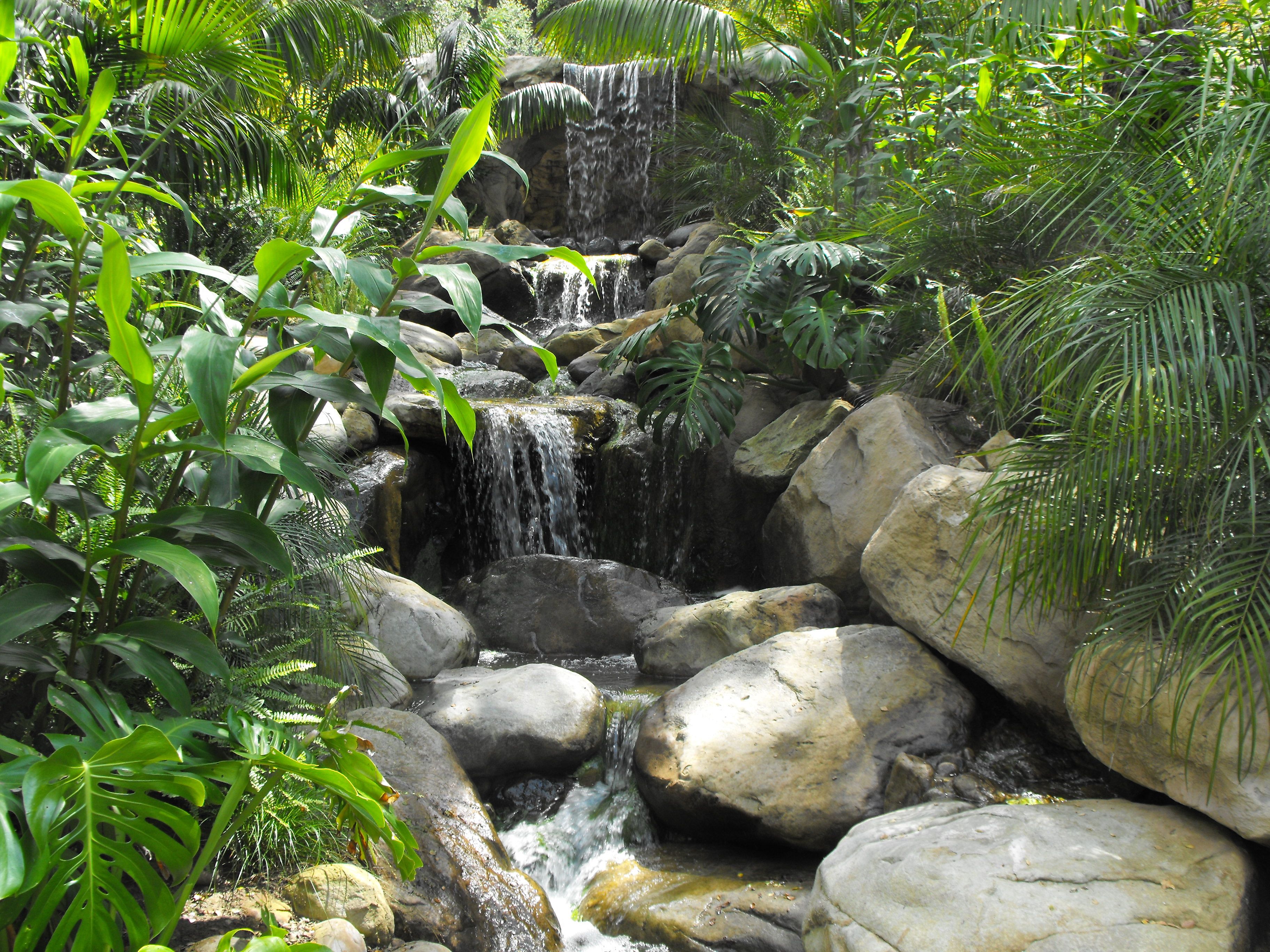 A Very Tropical Garden Waterfall