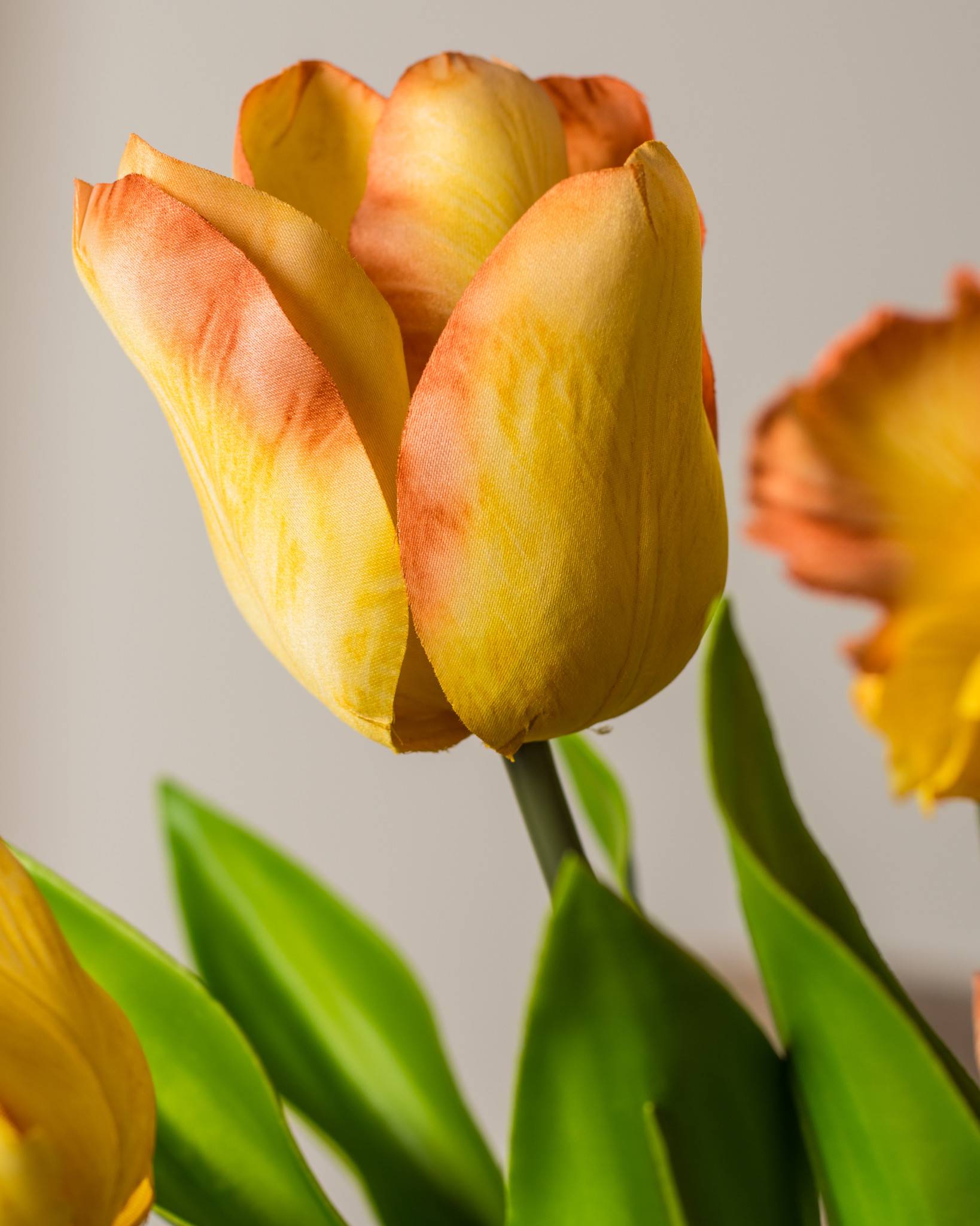 Dutch Tulip Flower Arrangement | Balsam Hill