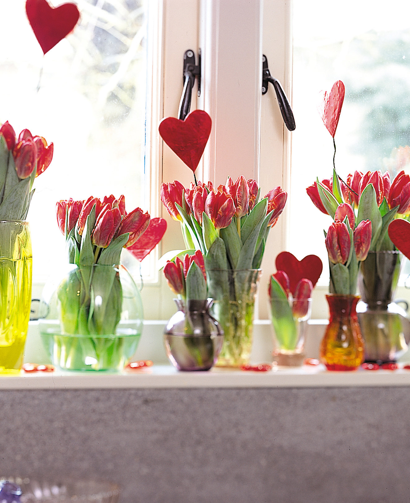 How to get indoor tulips to rebloom: Gardening Q&A | PennLive.com