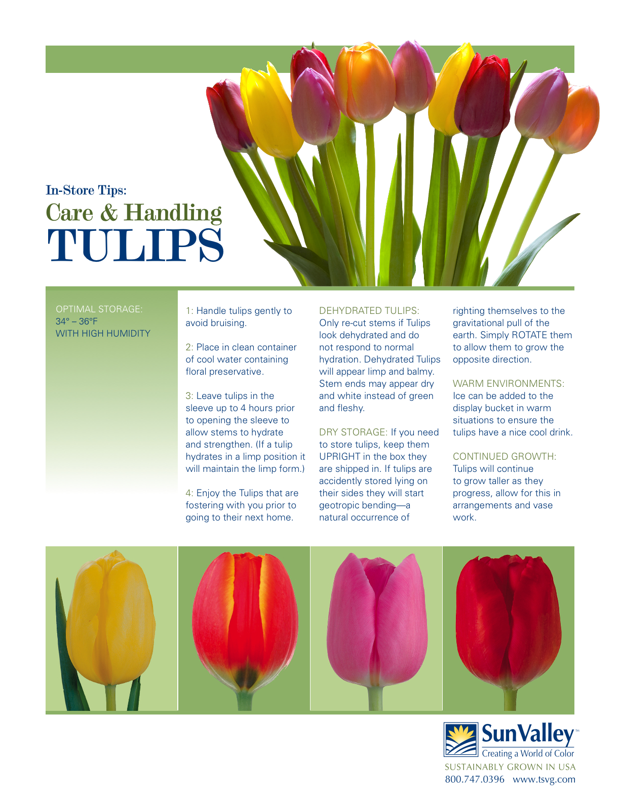 Tulips; Care and Handling | Flirty Fleurs The Florist Blog ...