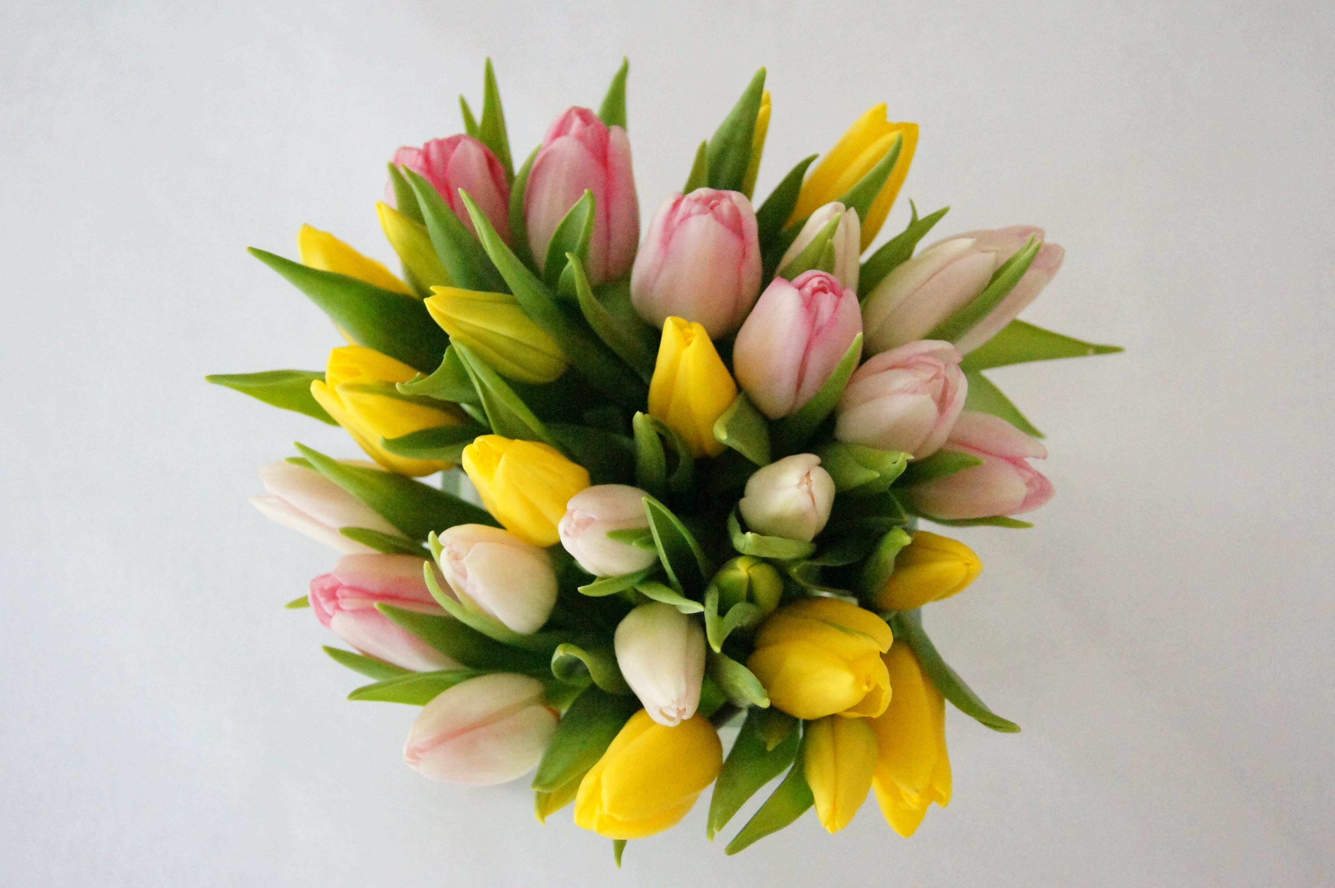 Tulip Arrangements: Step by Step How to Make a Tulip Arrangement