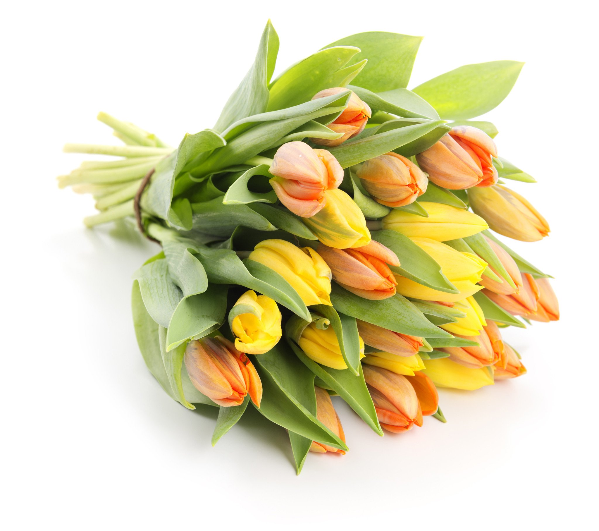 Yellow-Orange tulips bouquet – Send Flowers Riga
