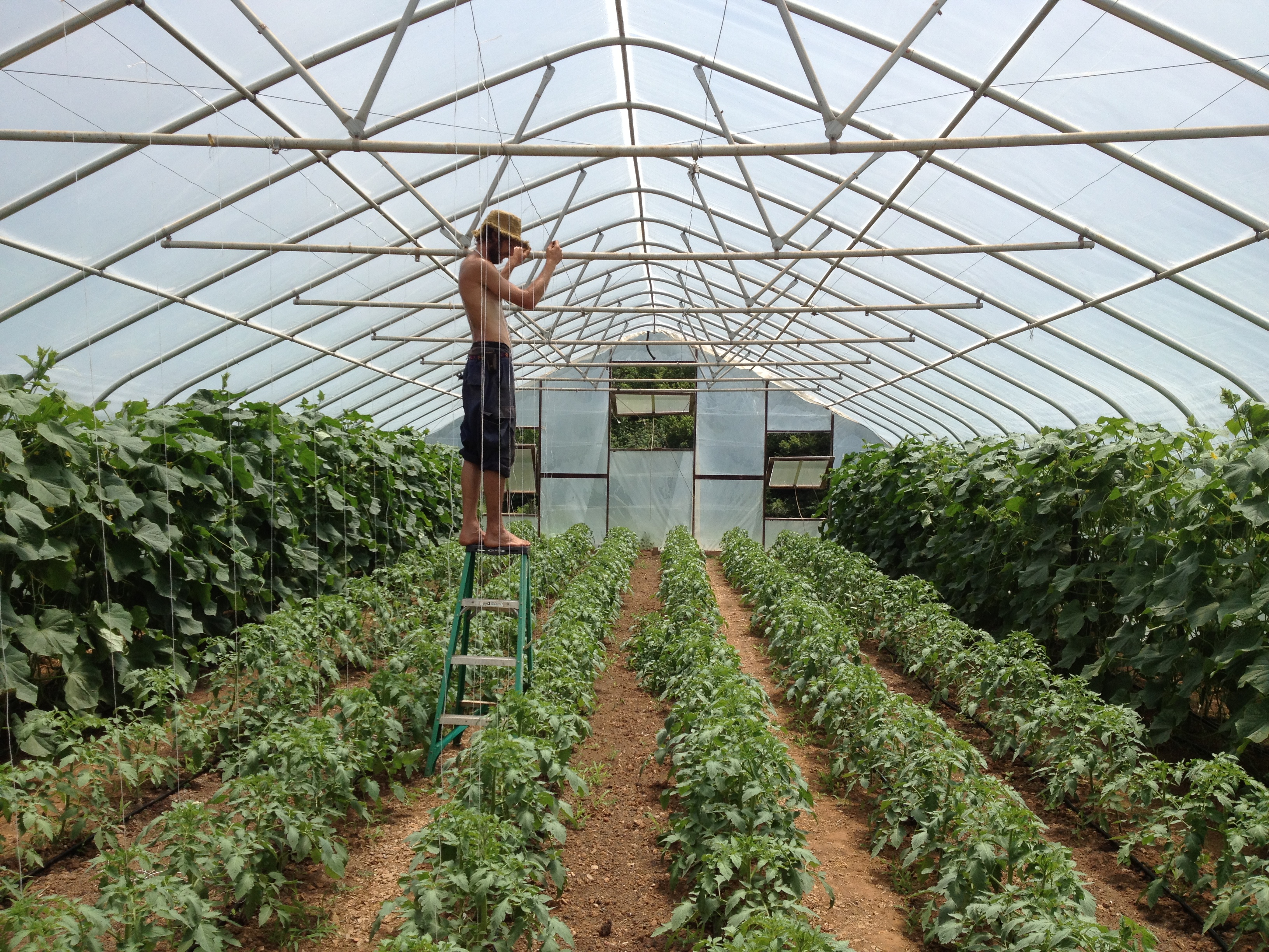 Updates on Pocket Farm Classes, Working Model Farm | SustainFloyd
