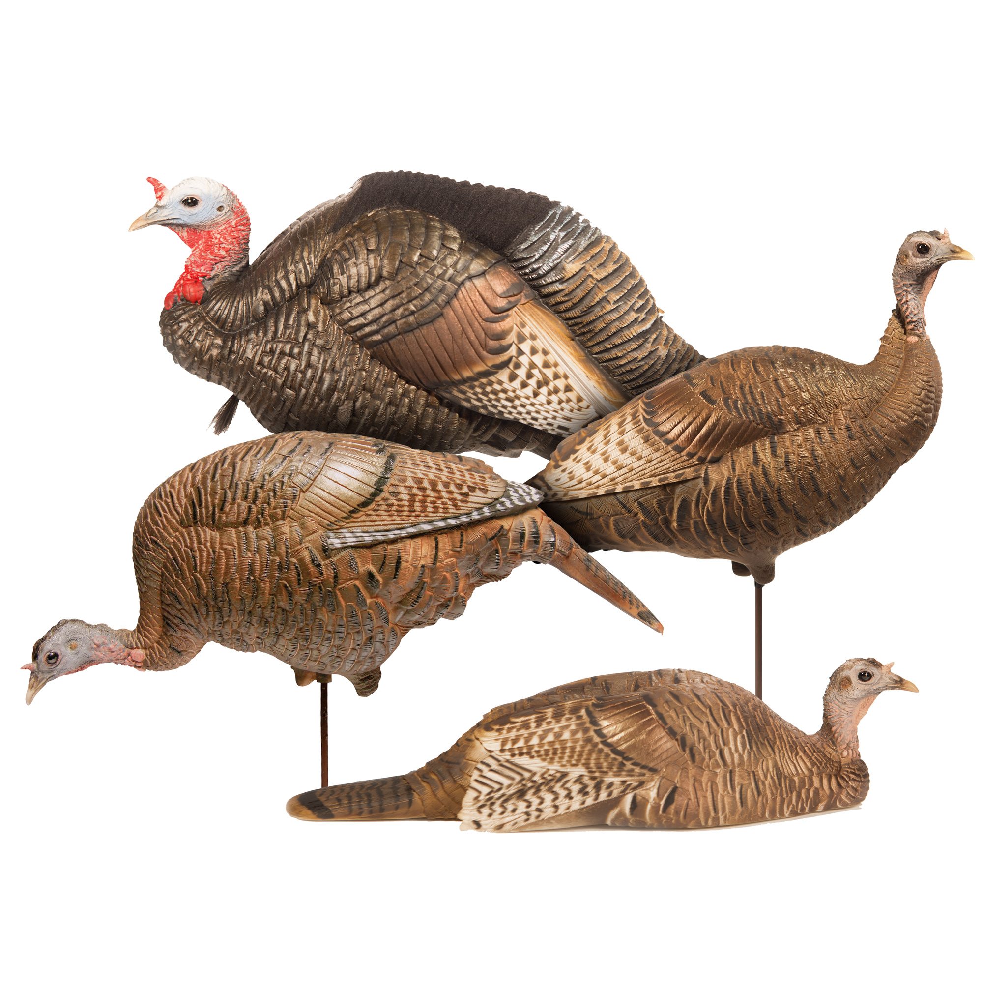 Turkey Flock – Dave Smith Decoys