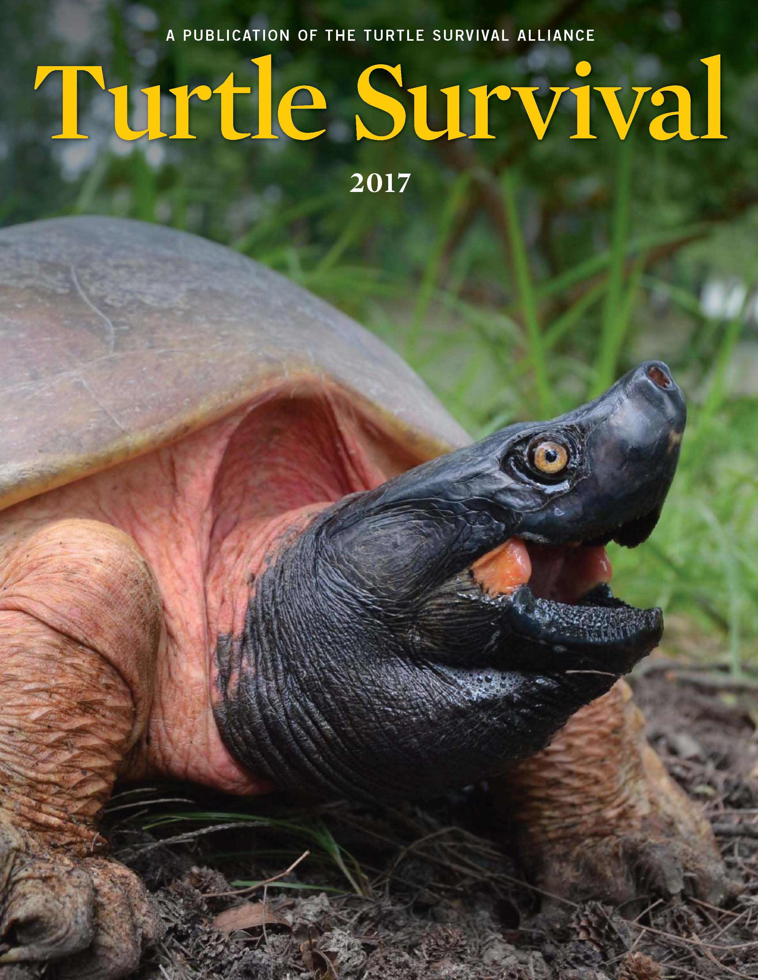 Turtle Survival Alliance (TSA)