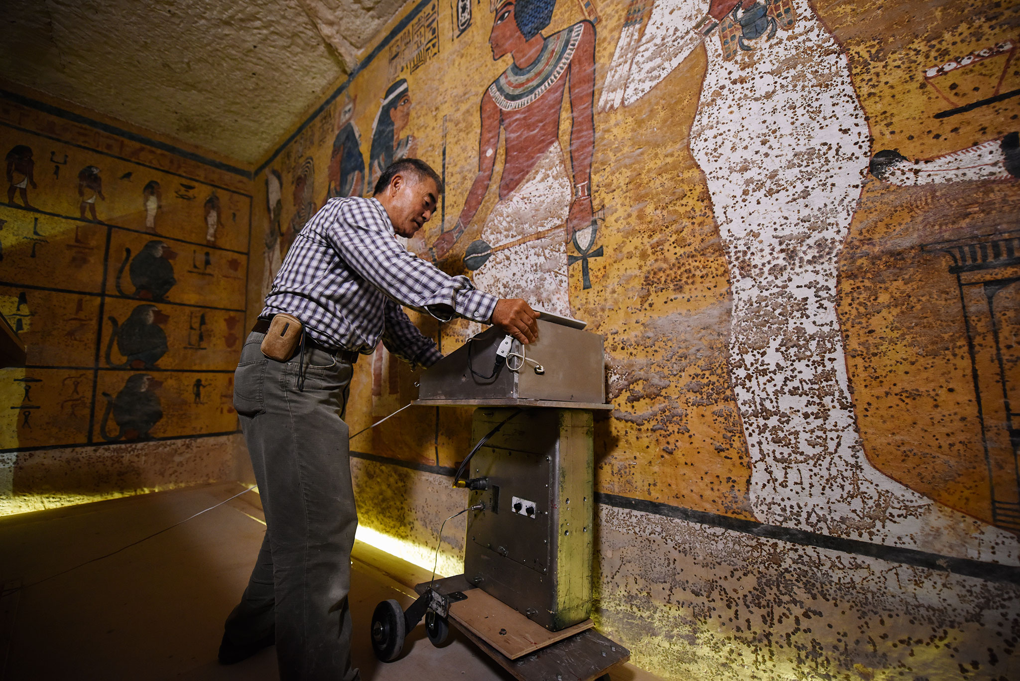 Radar Scans in King Tut's Tomb Suggest Hidden Chambers