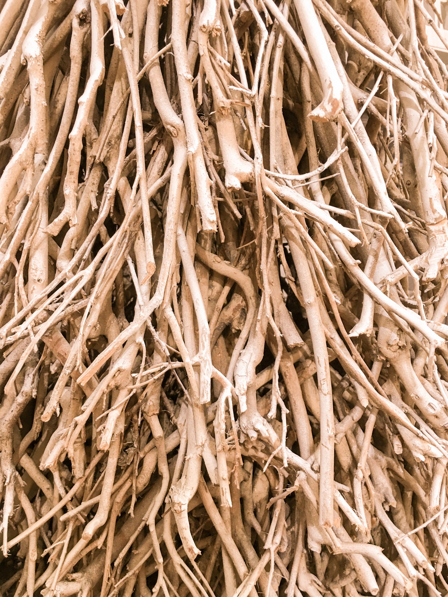 Wooden Twigs Background Free Stock Photo - Public Domain Pictures