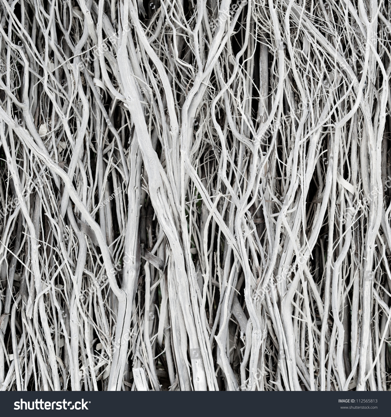 Dried Twigs Branches Striped Wood Texture Stock Photo 112565813 ...