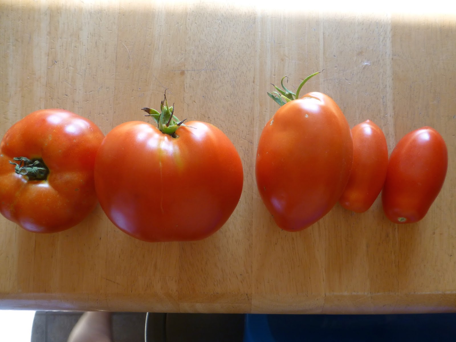 little*big*harvest: Hooked on this Heirloom: Amish Paste Tomato