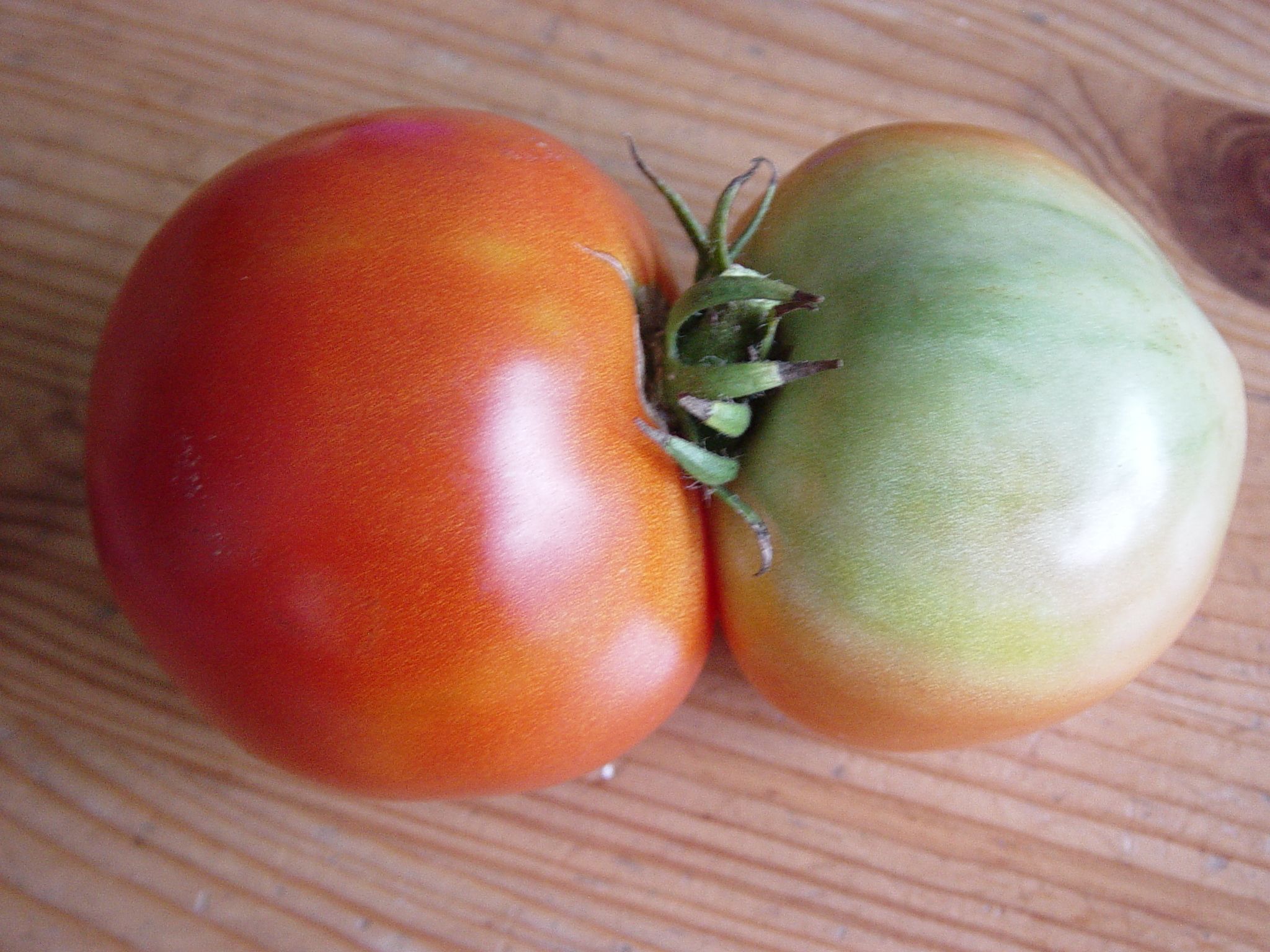 strange twin tomato from the garden | food | Pinterest | Food