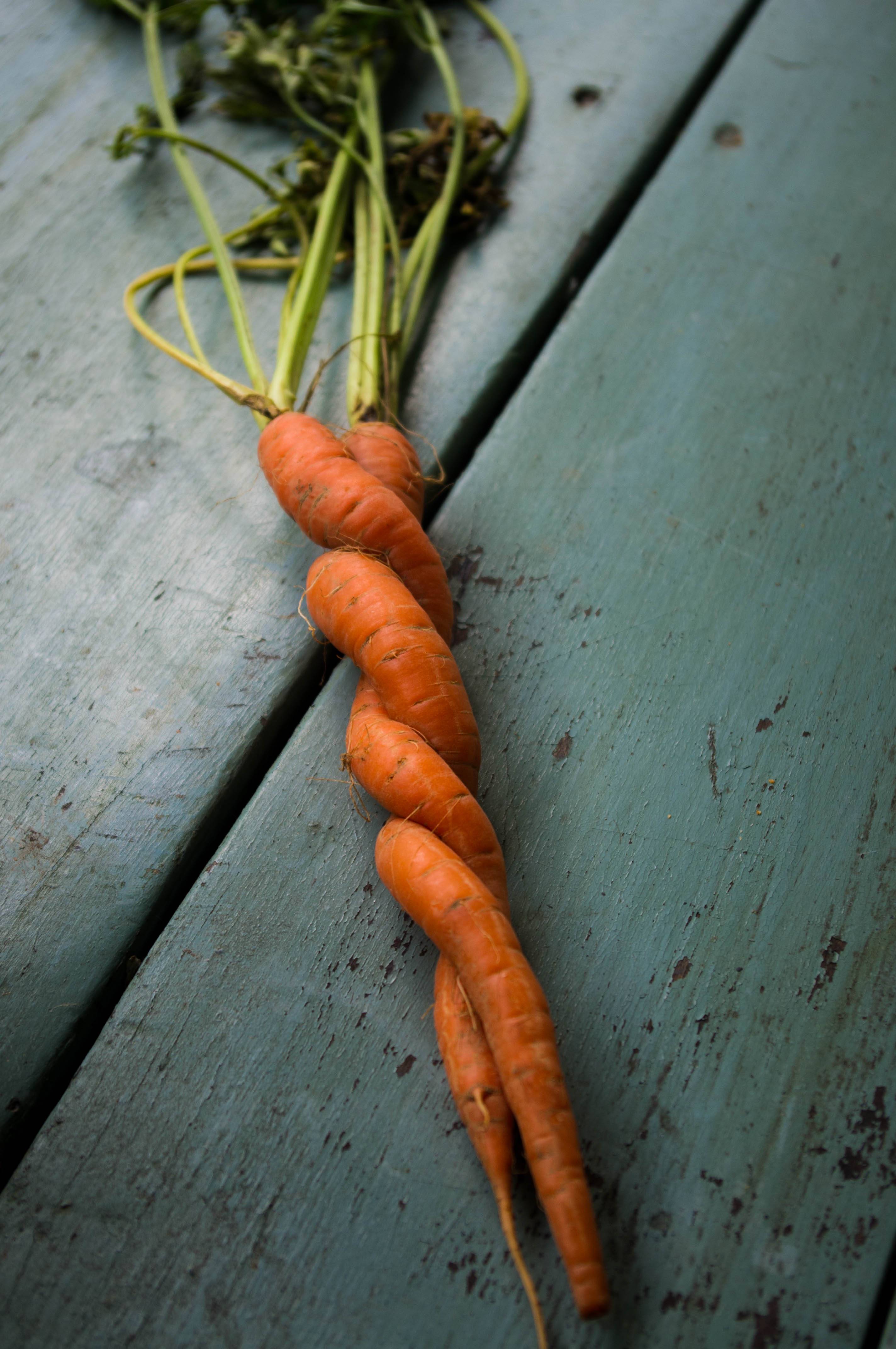 Twisted carrots photo