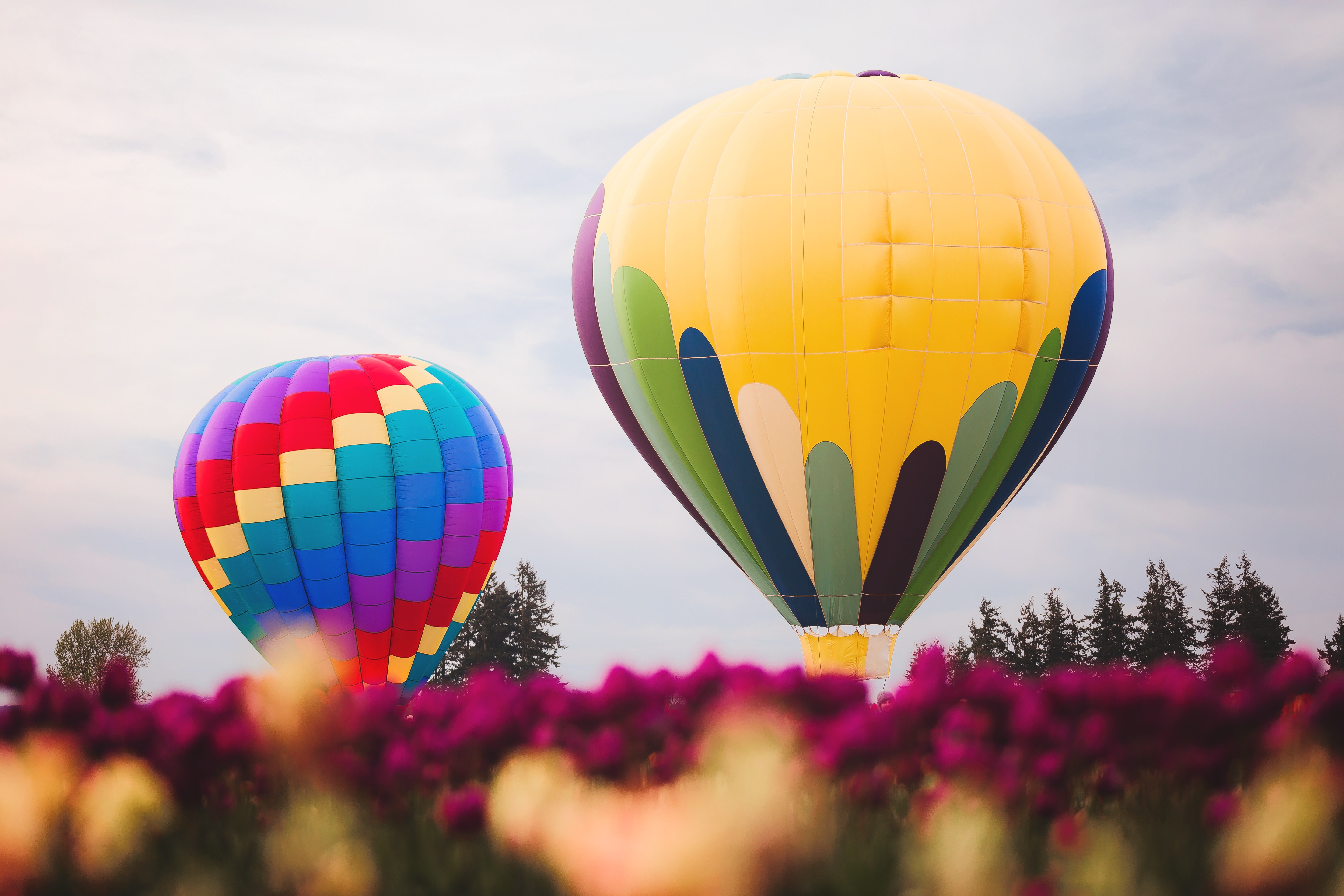 Two assorted color hot air balloons photo