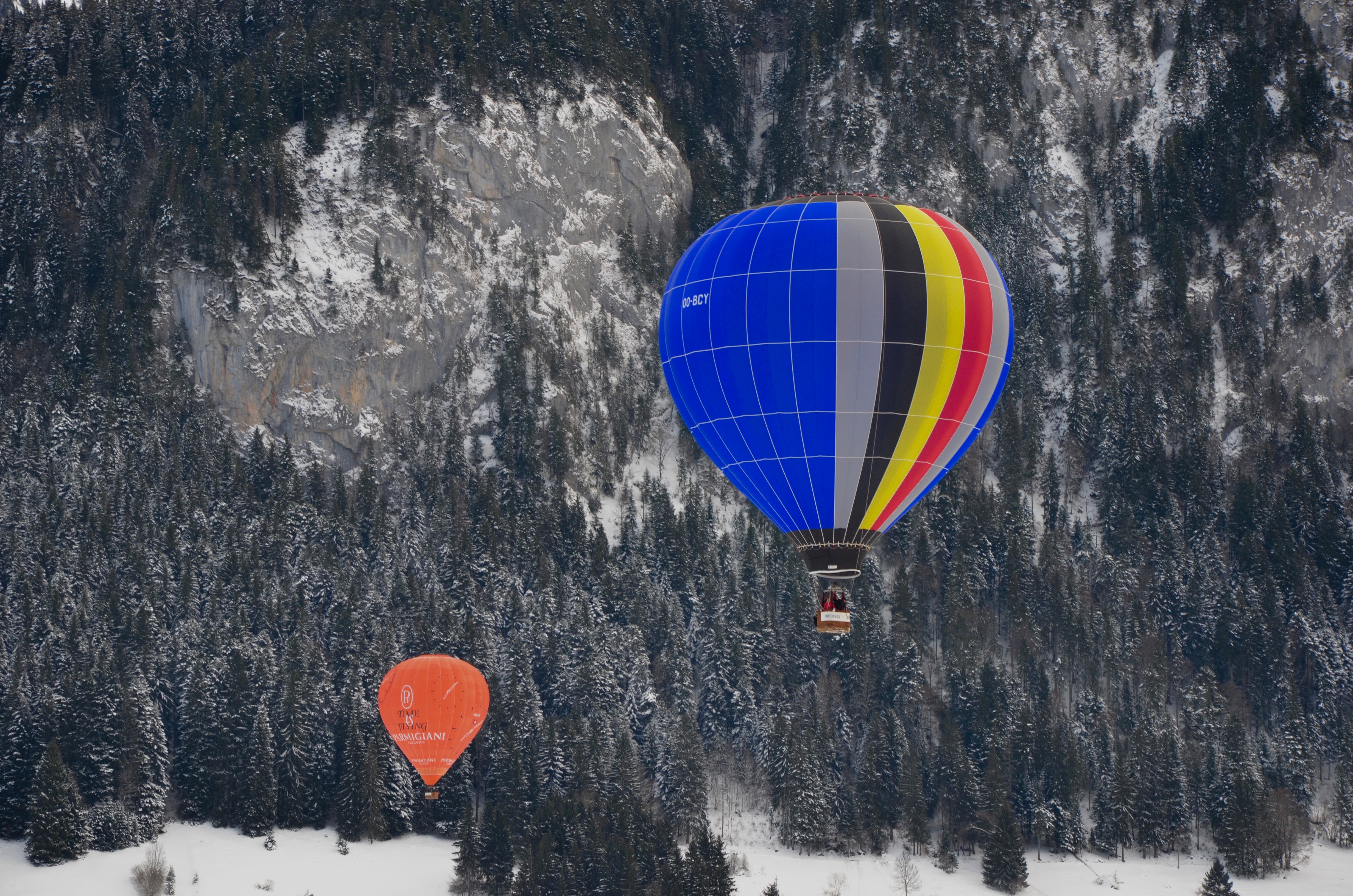 Two assorted-color hot air balloons over green trees photo