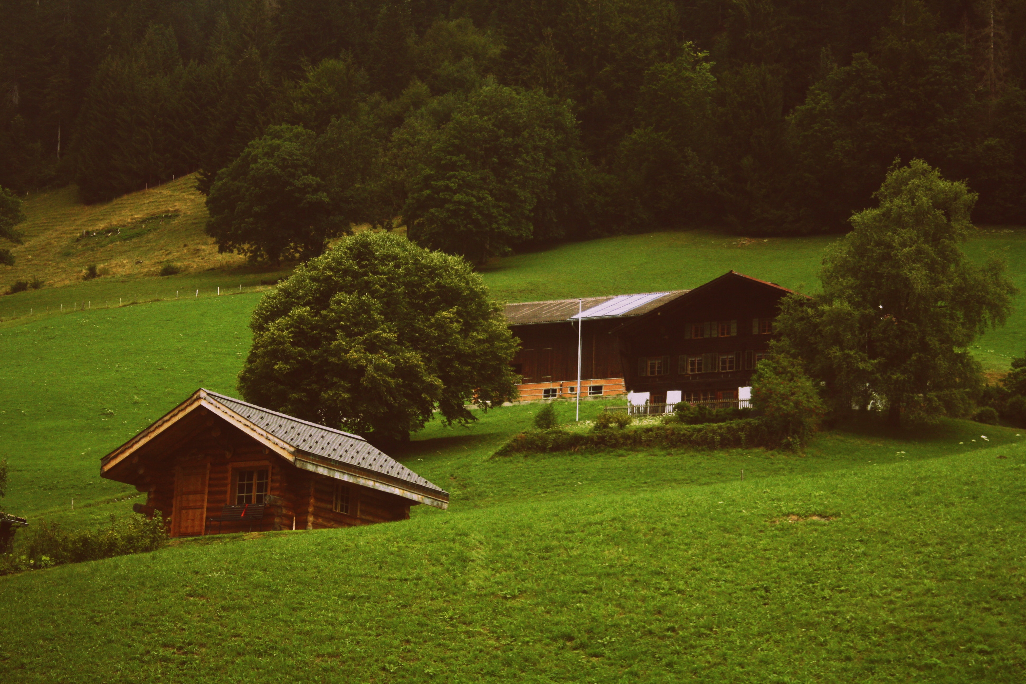 Two brown wooden cabins in green grass field photo