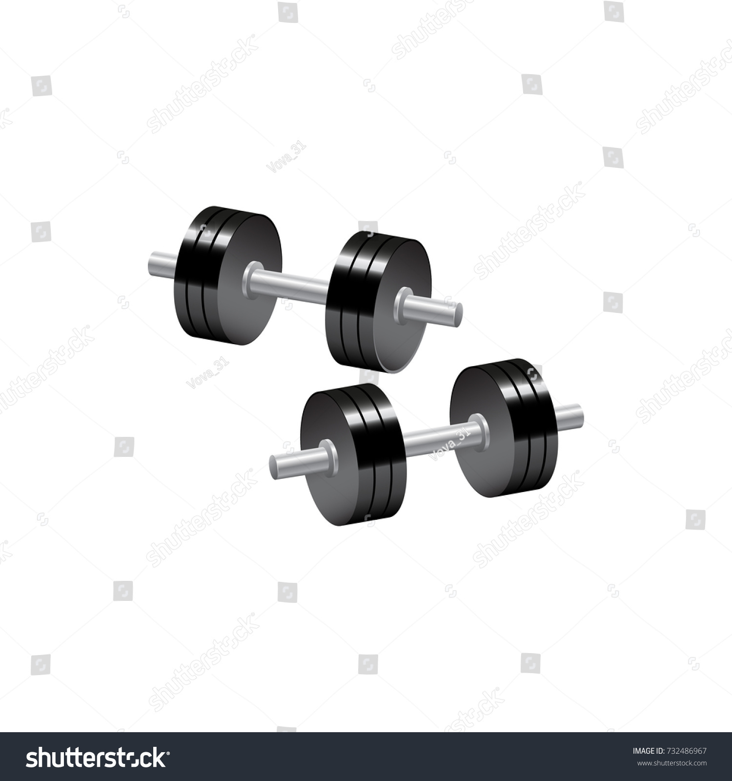 Two Dumbbells Leaning Clipping Path Stock Vector 732486967 ...