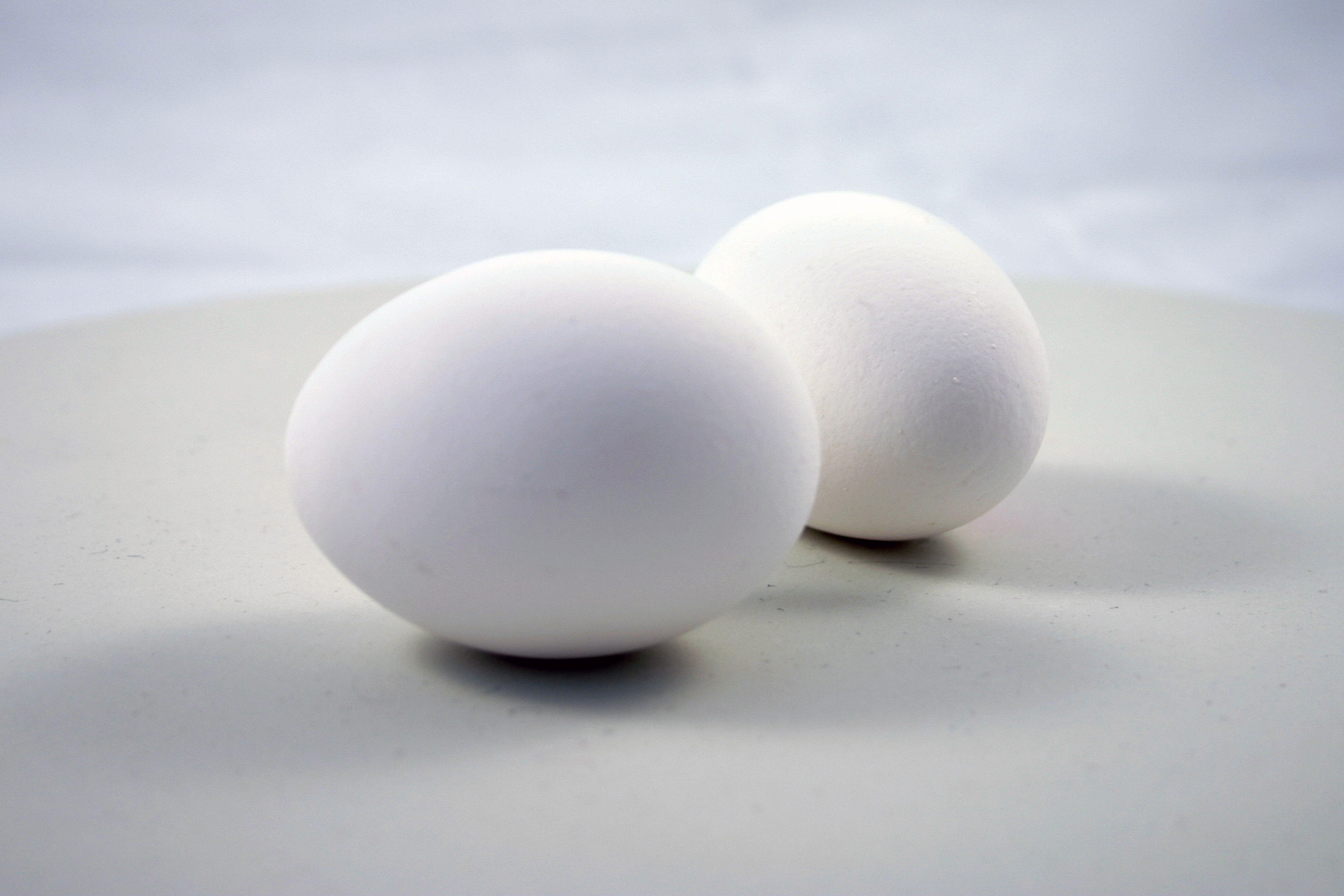 Two eggs photo