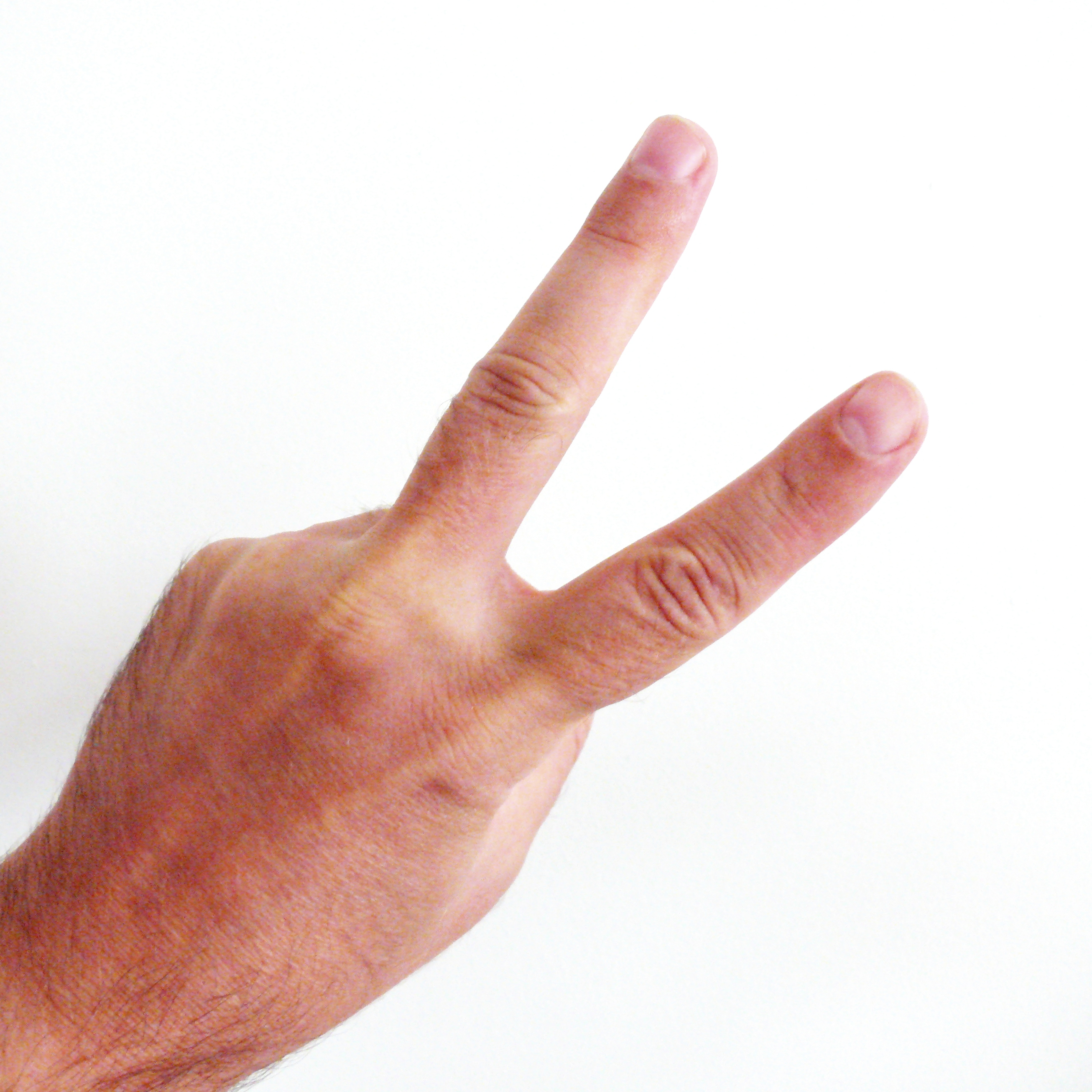 File:Two index fingers from the back side.JPG - Wikimedia Commons