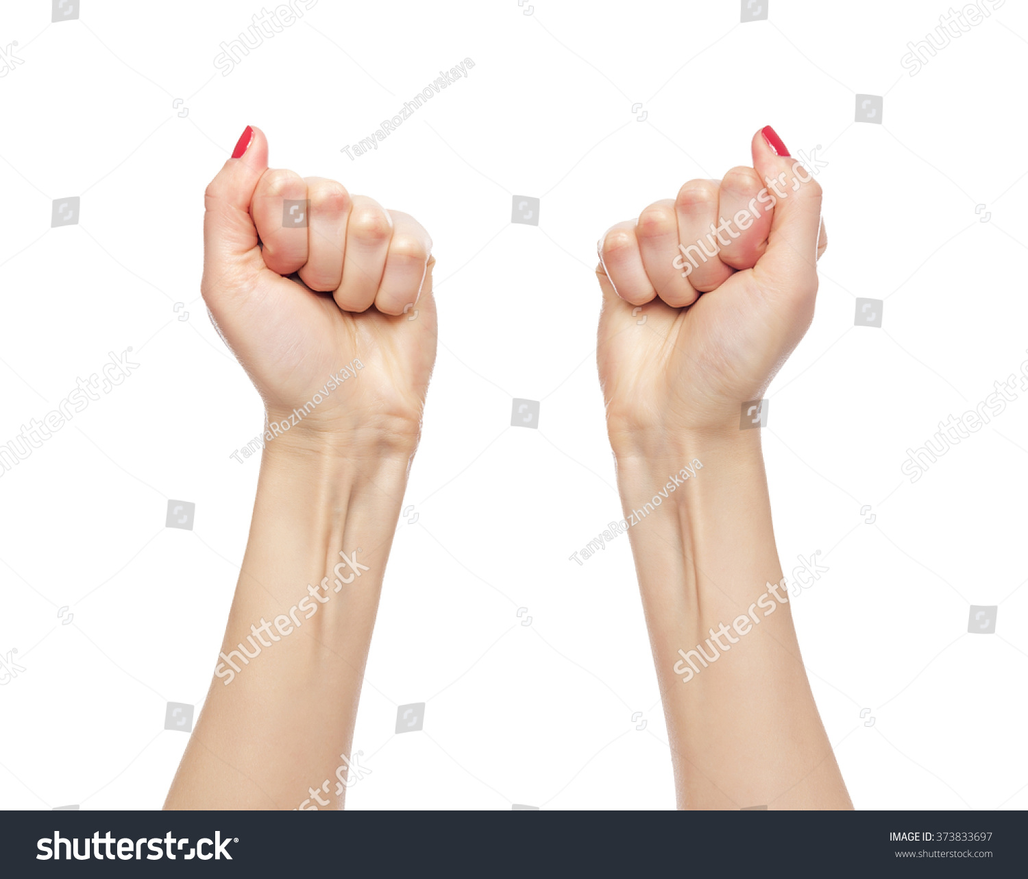 Womens Hands Two Fists Celebrating Victory Stock Photo (100% Legal ...