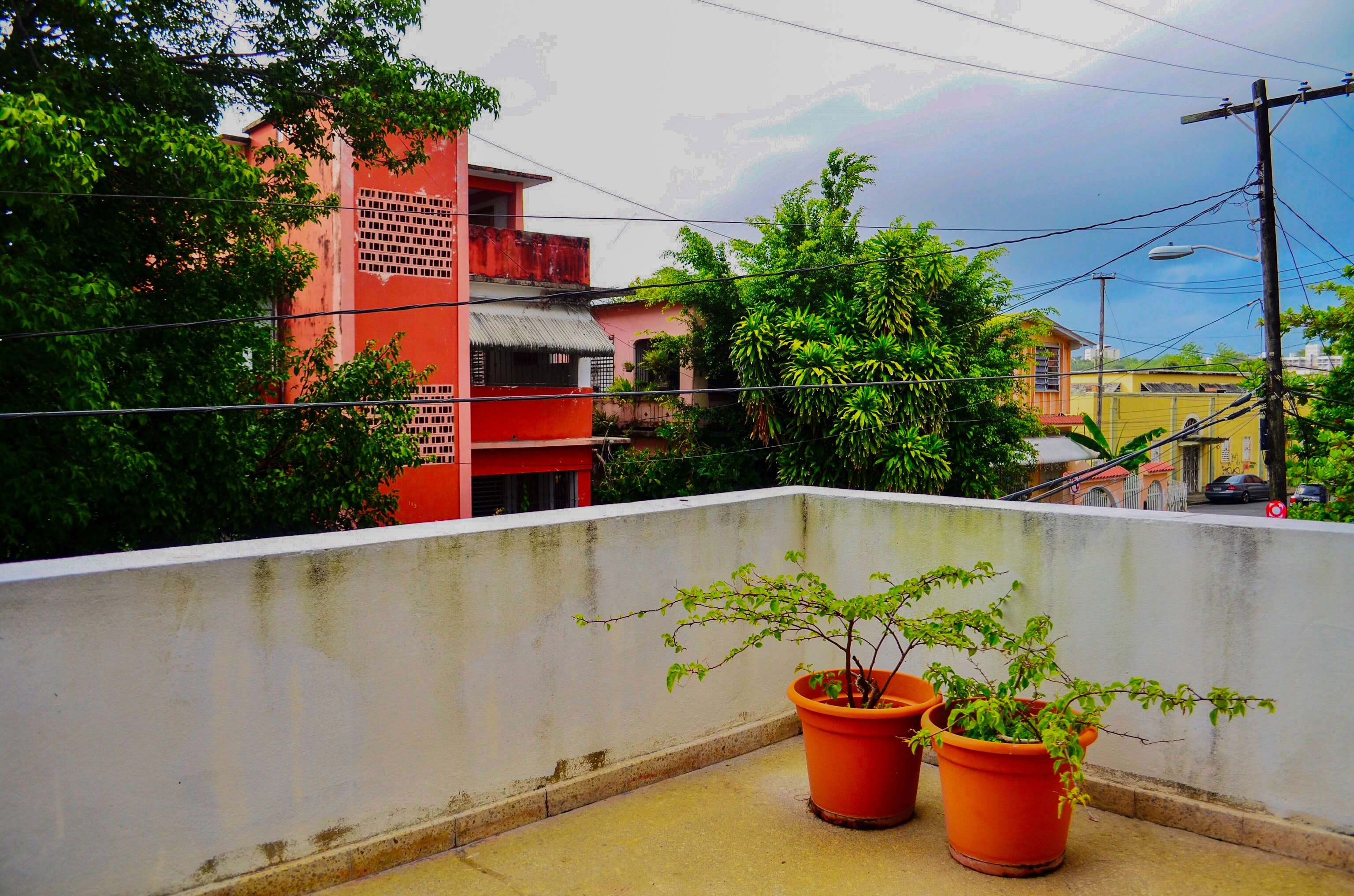 Two green leaf plants with orange pots on terrace photo