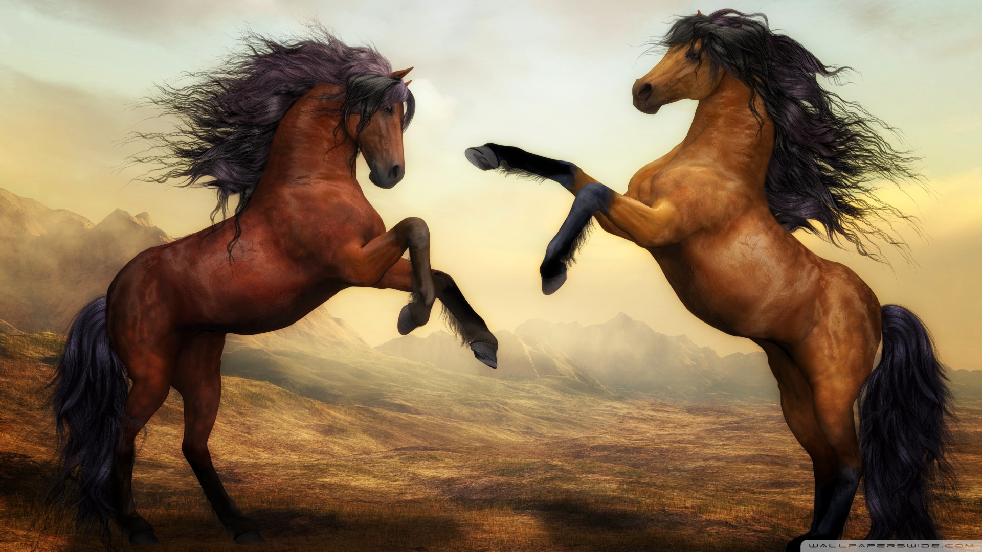 Two Beautiful Horses Fighting ❤ 4K HD Desktop Wallpaper for 4K ...