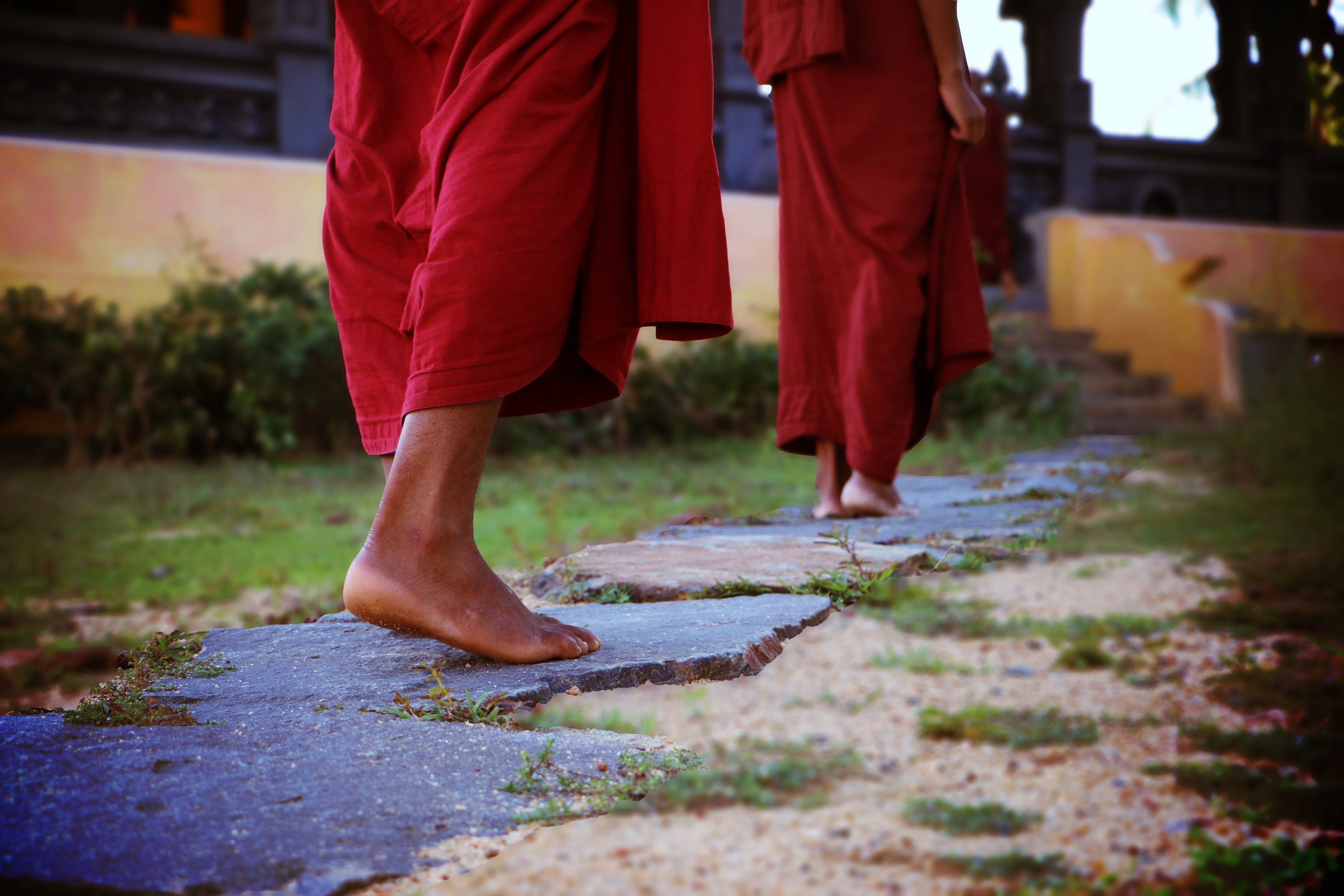 Two human wearing monk dress walking on the pathway photo