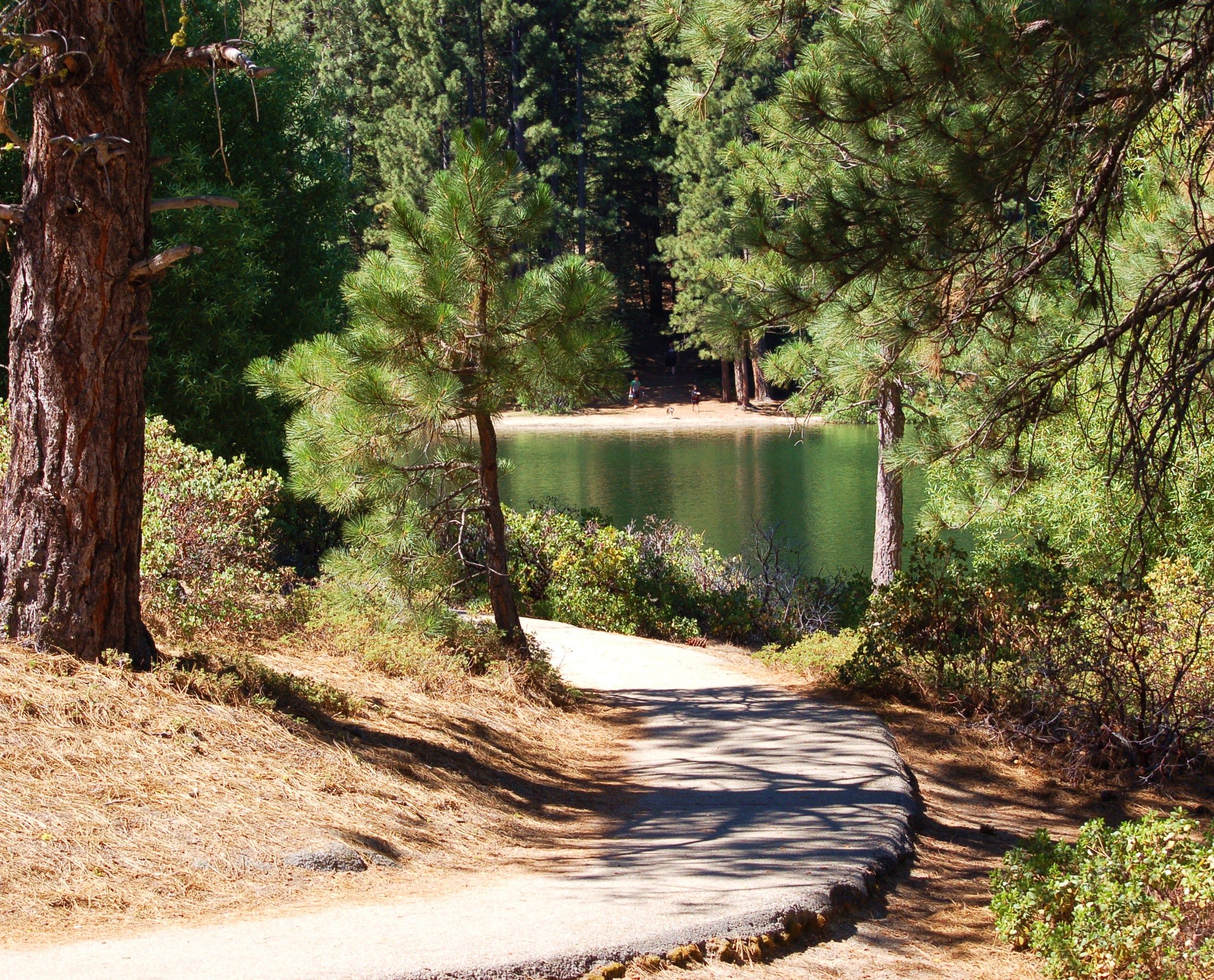 2 mile trail around Hume Lake | Pathways | Pinterest | Lakes ...