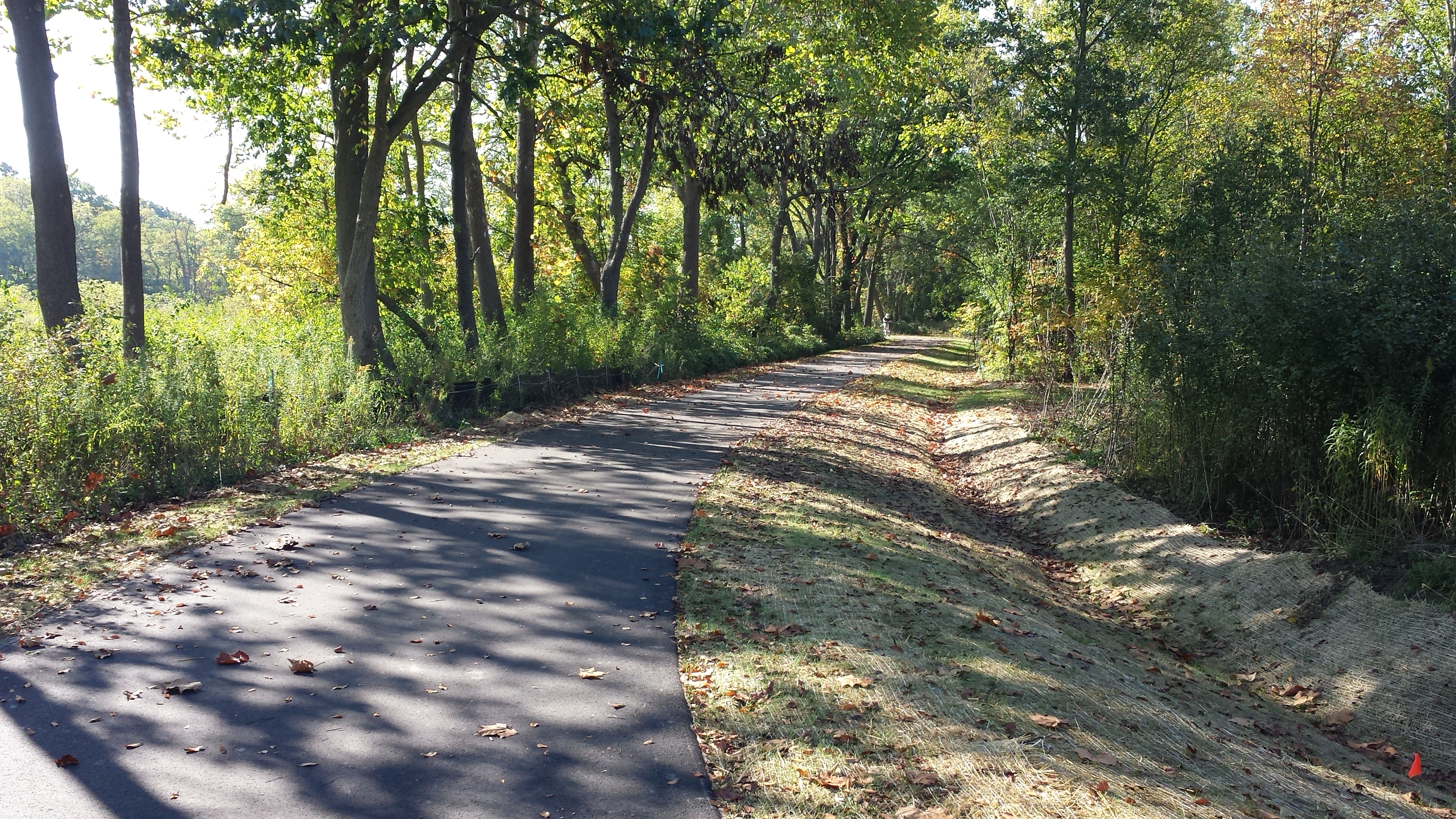 Two-mile hiking, biking trail in Ann Arbor opens to public on...