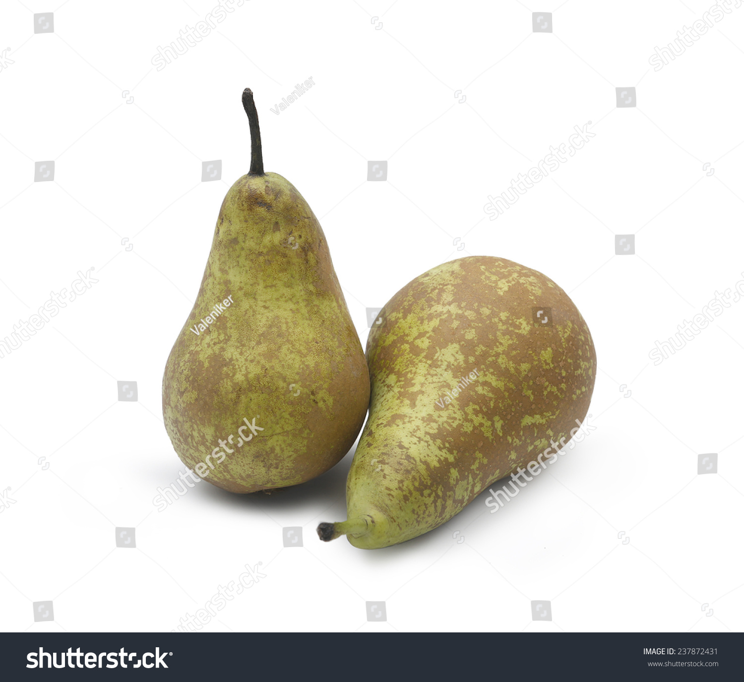 Two Pears Conference On White Background Stock Photo (Royalty Free ...