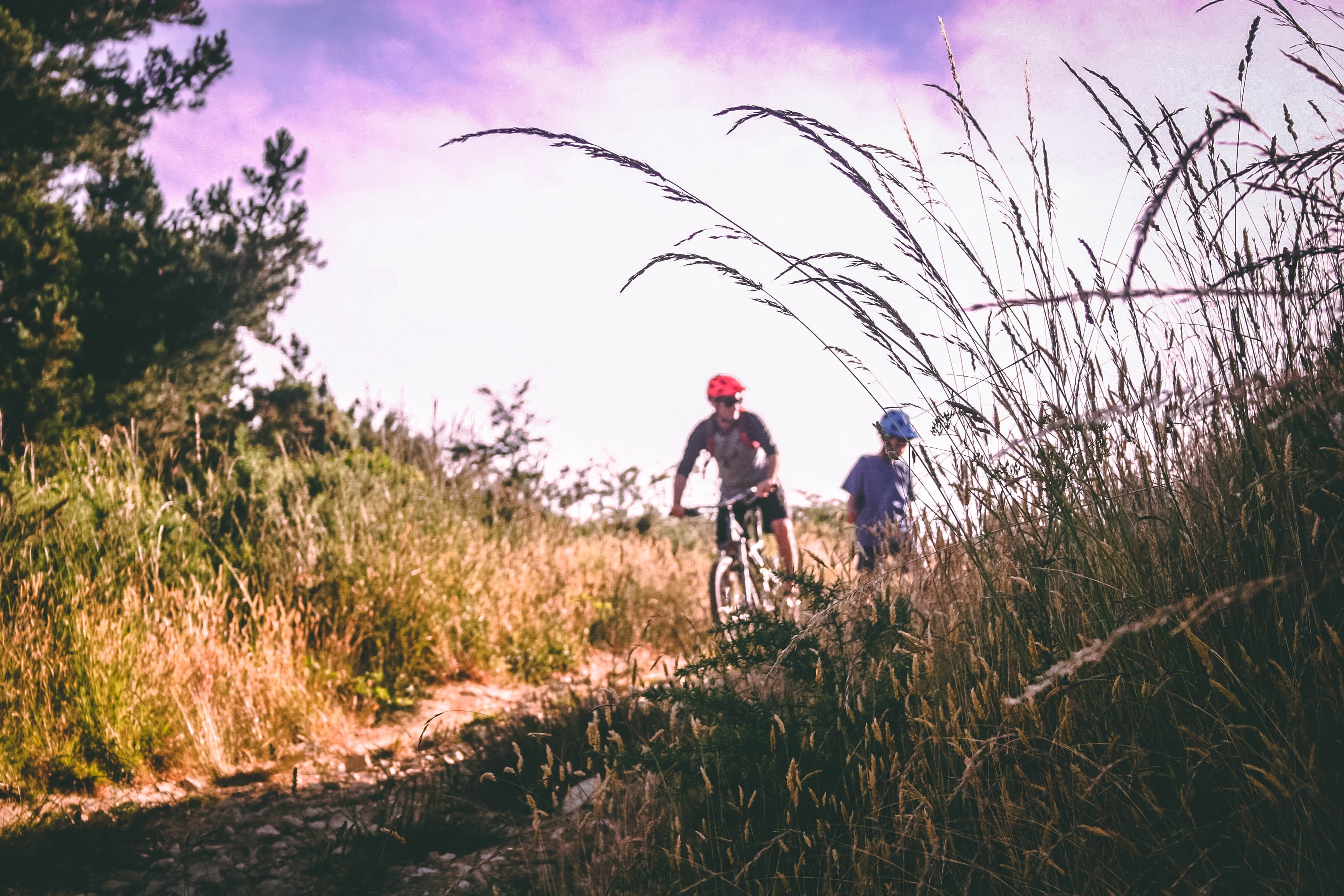 Two People Riding Bicycle, Bicycle, Mountain biking, Unpaved pathway, Trees, HQ Photo