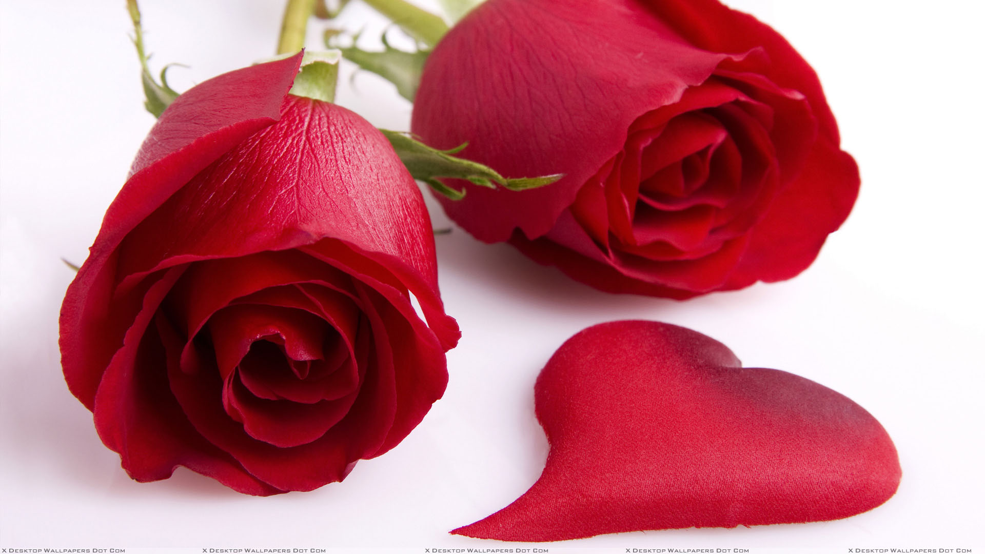Two Red Roses And Heart Leaves Wallpaper