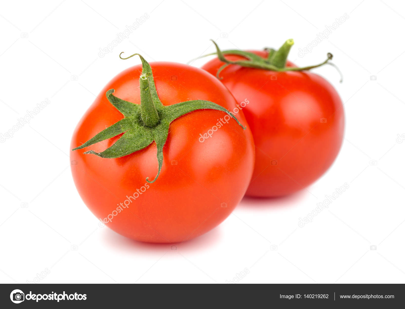 Two ripe tomatoes photo