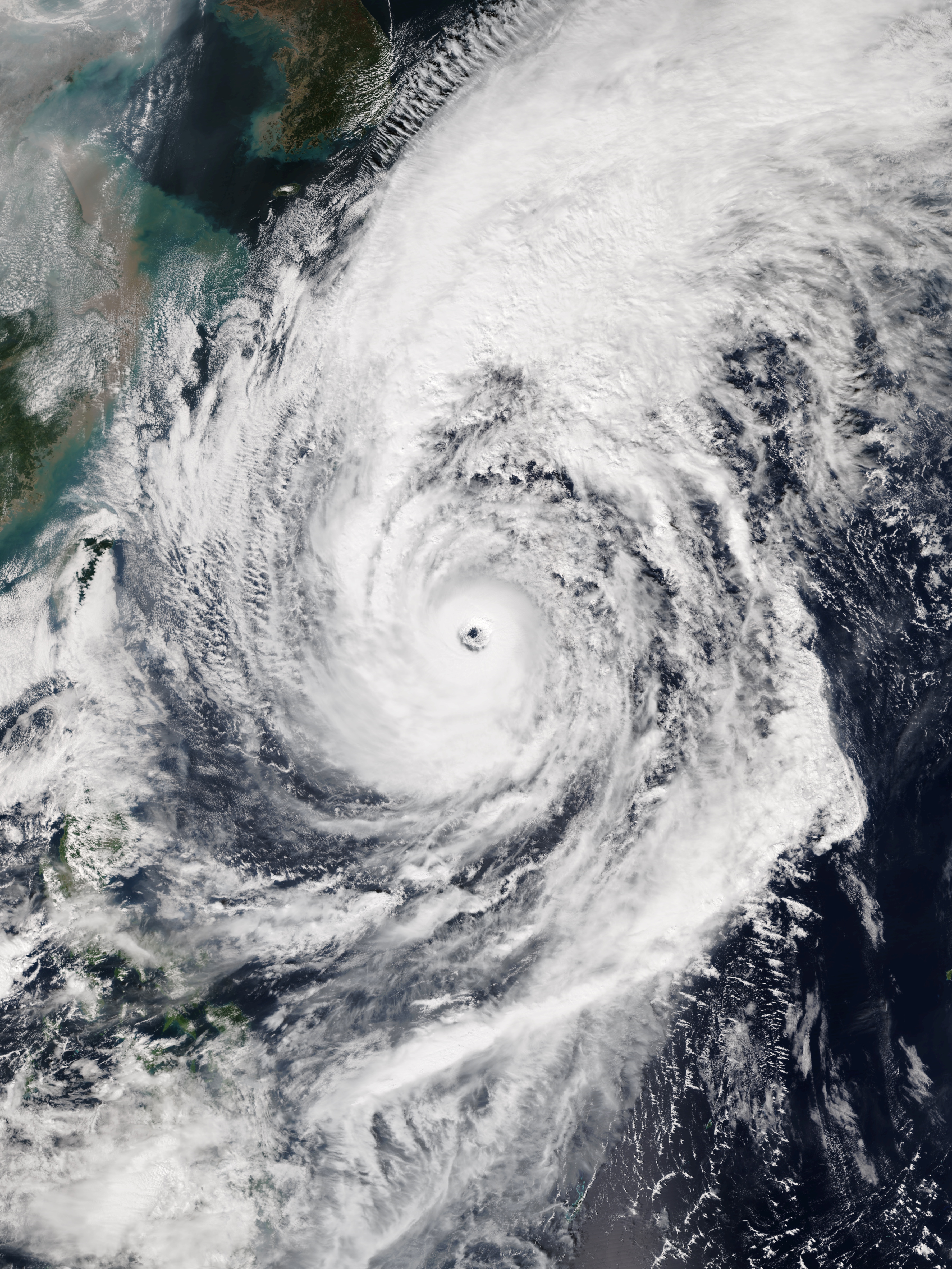 Typhoon Lan - Wikipedia