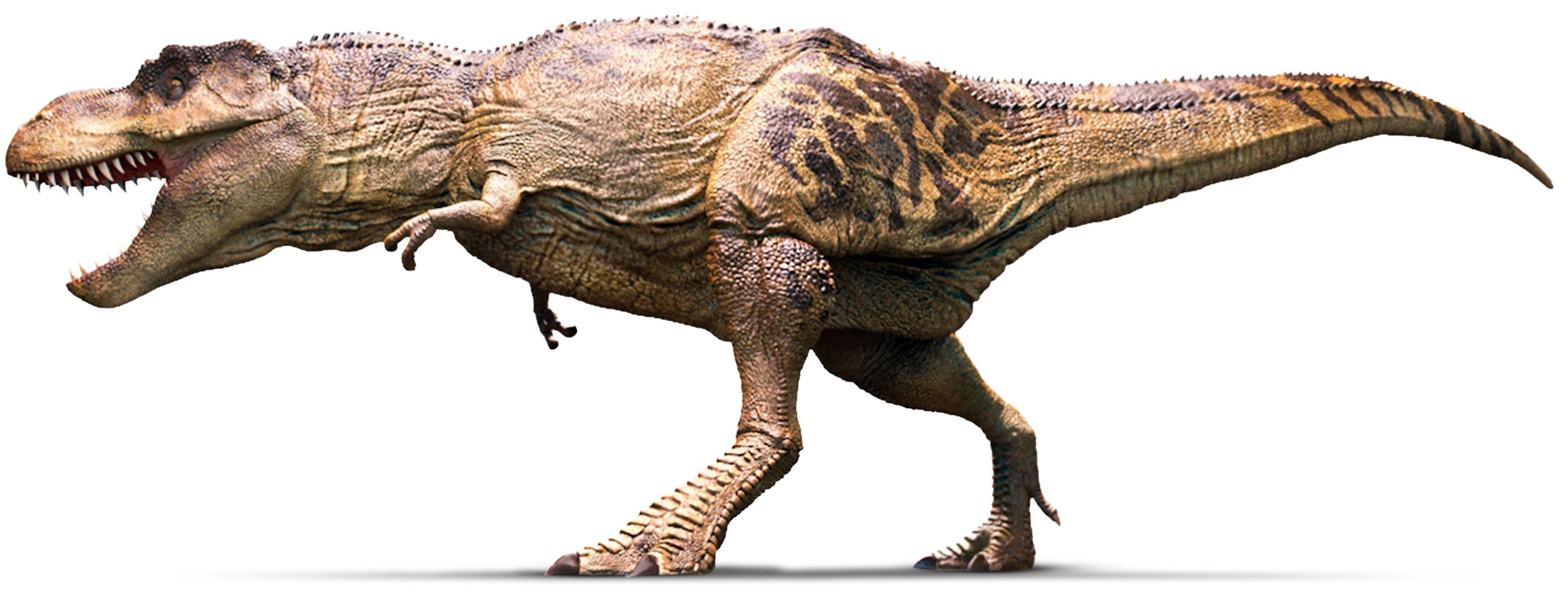 Tyrannosaurus | Tyrannosaurus Rex Facts | DK Find Out