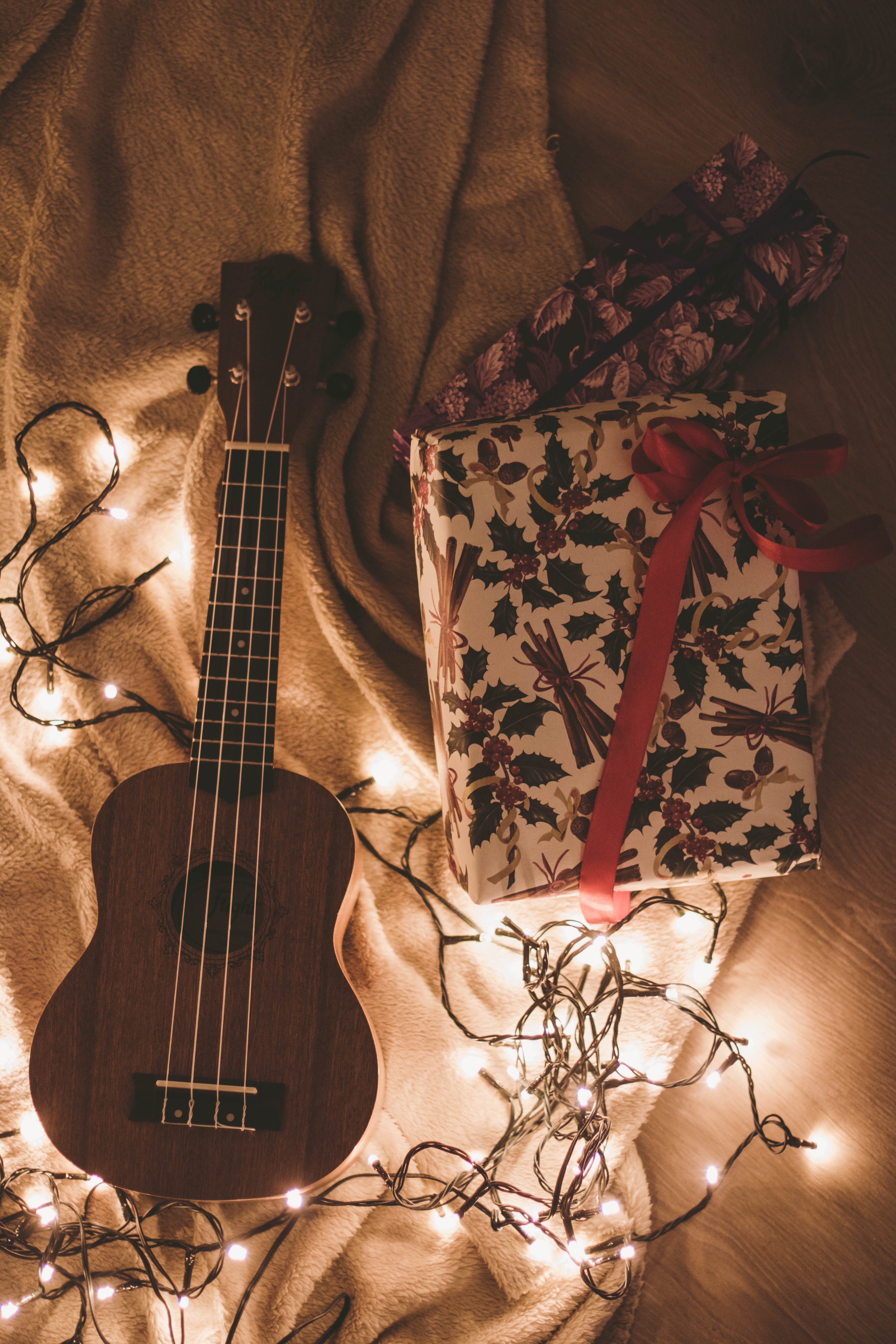 Ukulele Beside a Floral Box and String Lights, Adult, Music, Vintage, Stringed instrument, HQ Photo