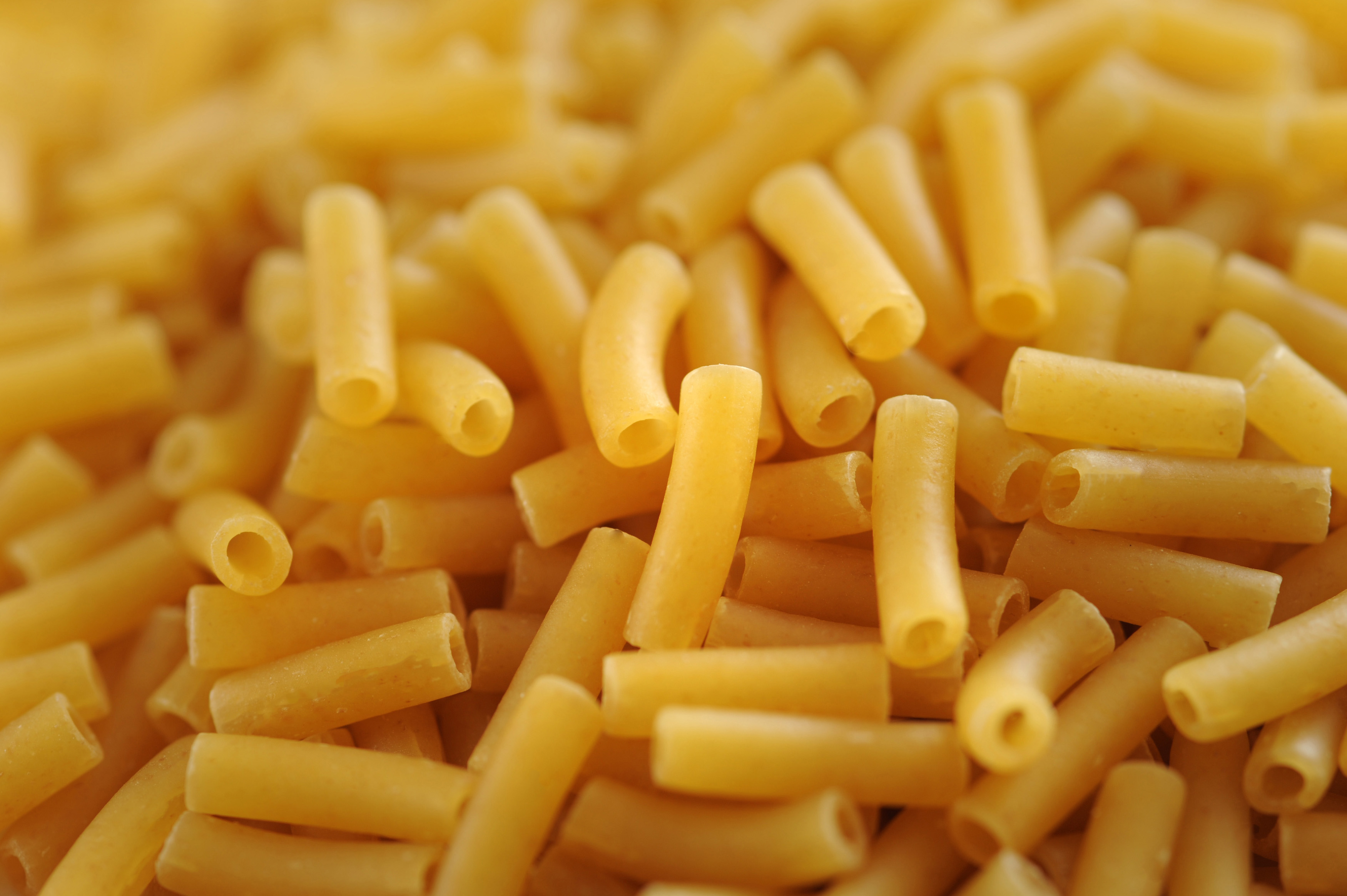 Free Stock Photo 11790 uncooked macaroni pasta | freeimageslive