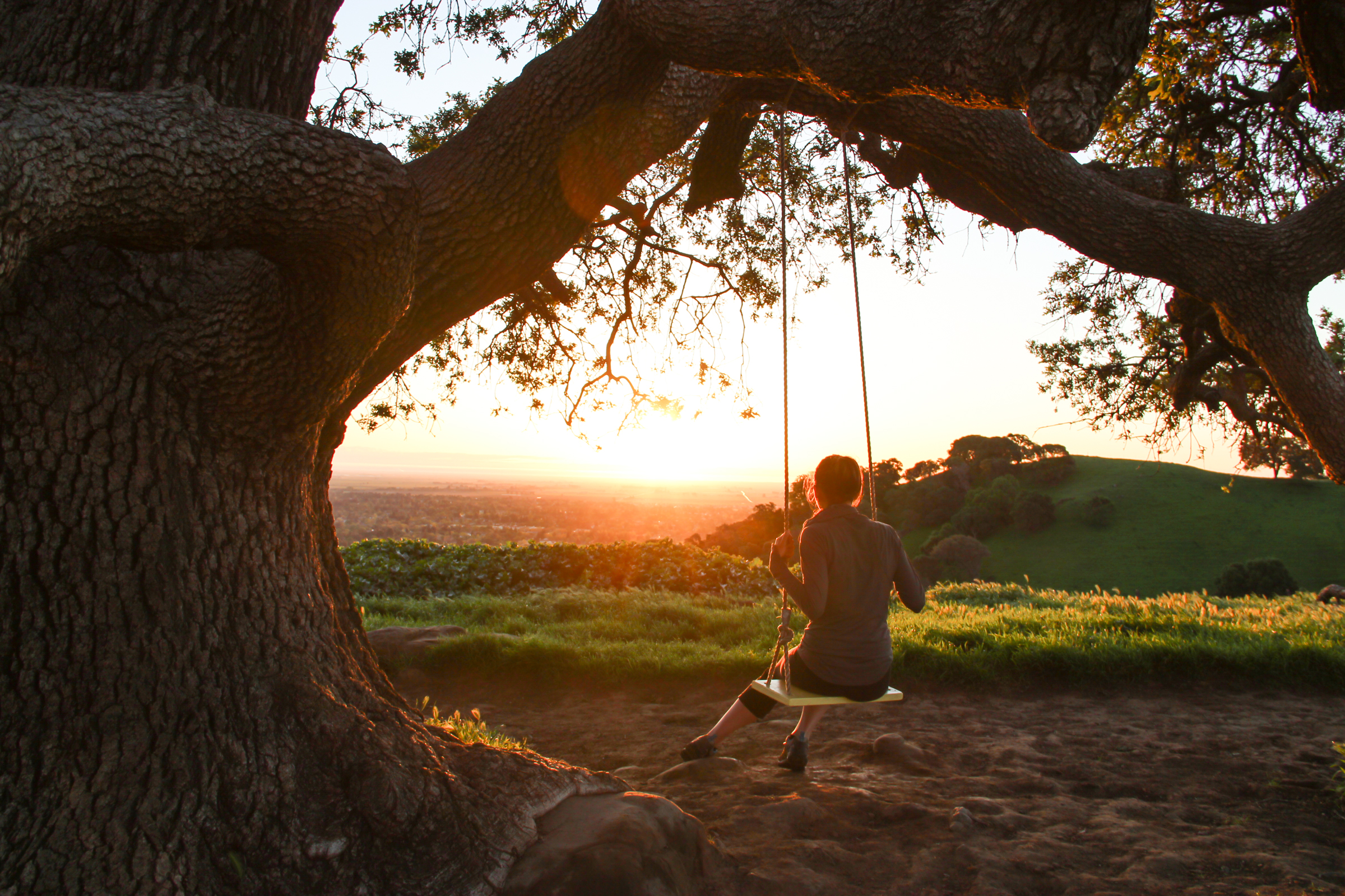 Free Stock Photo of Girl on Swing Under Tree Watching Sunrise