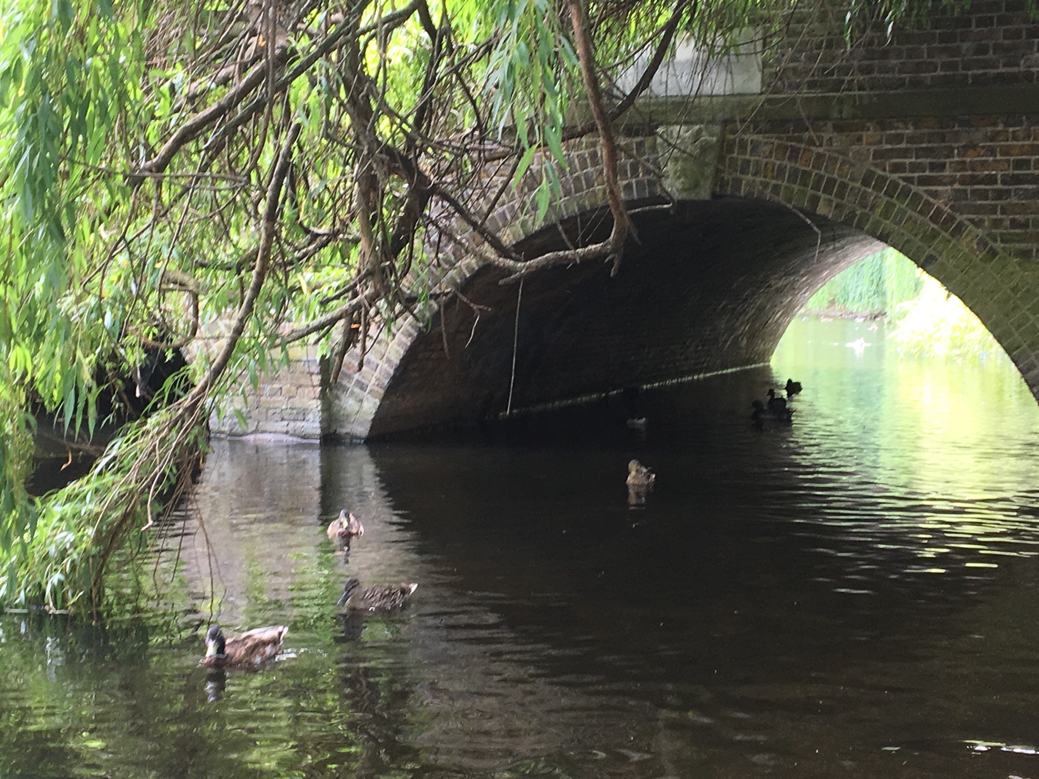 Water under the bridge – Journeys in Writing